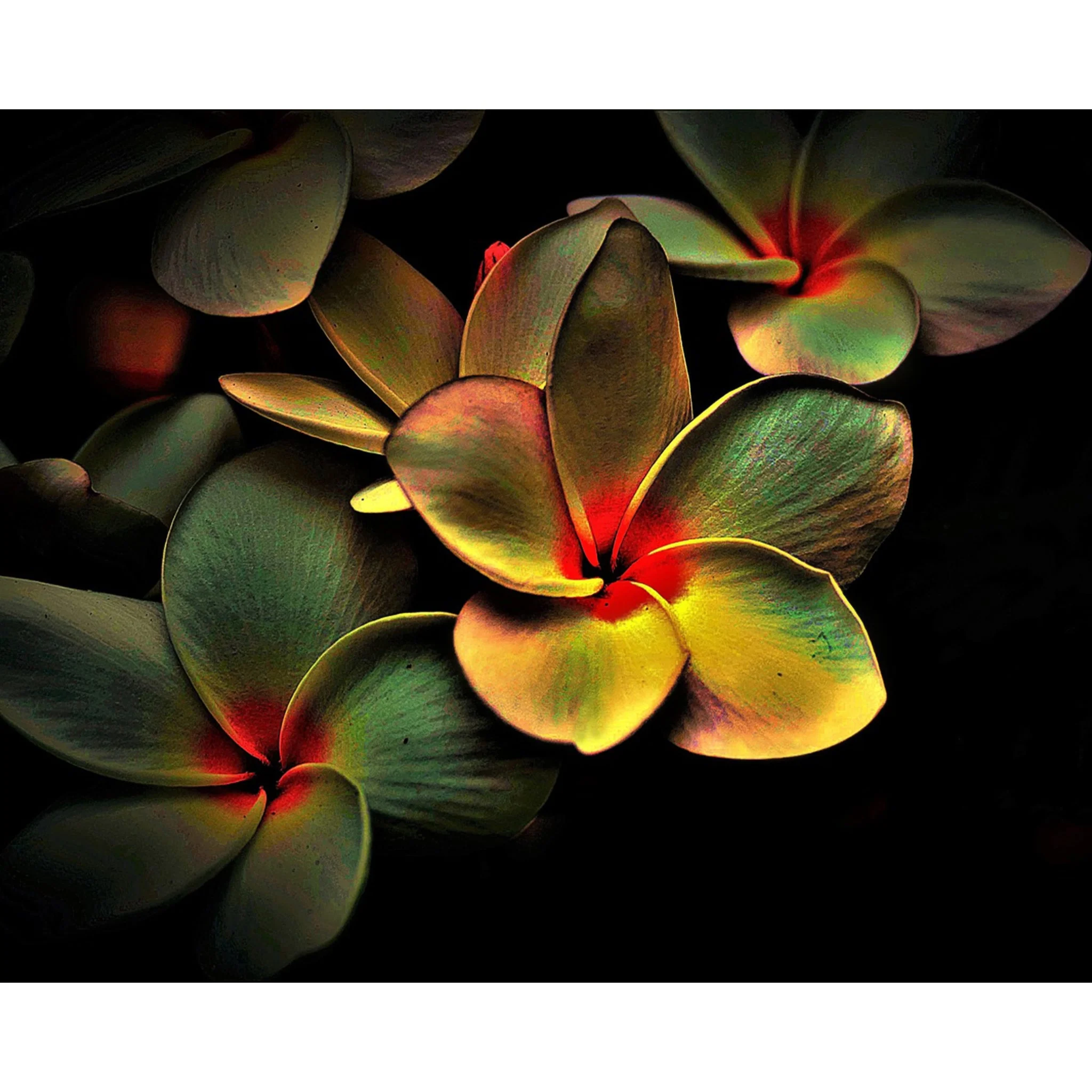 Abstract Frangipani | Diamond Painting - Image 2