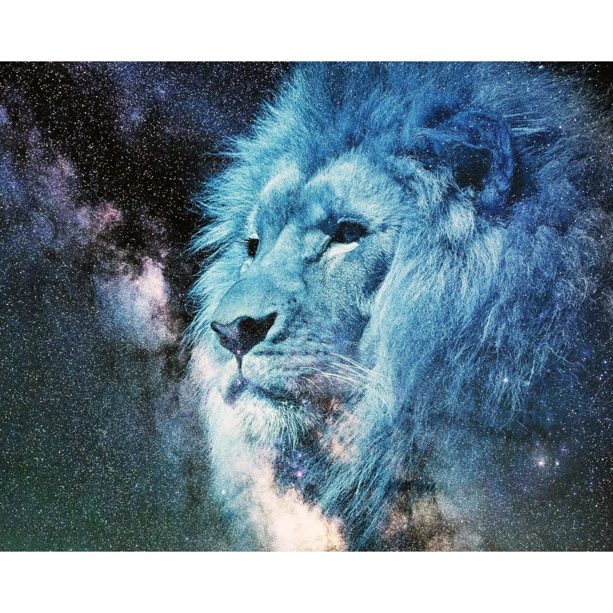 Starry Sky Lion | Diamond Painting - Image 2