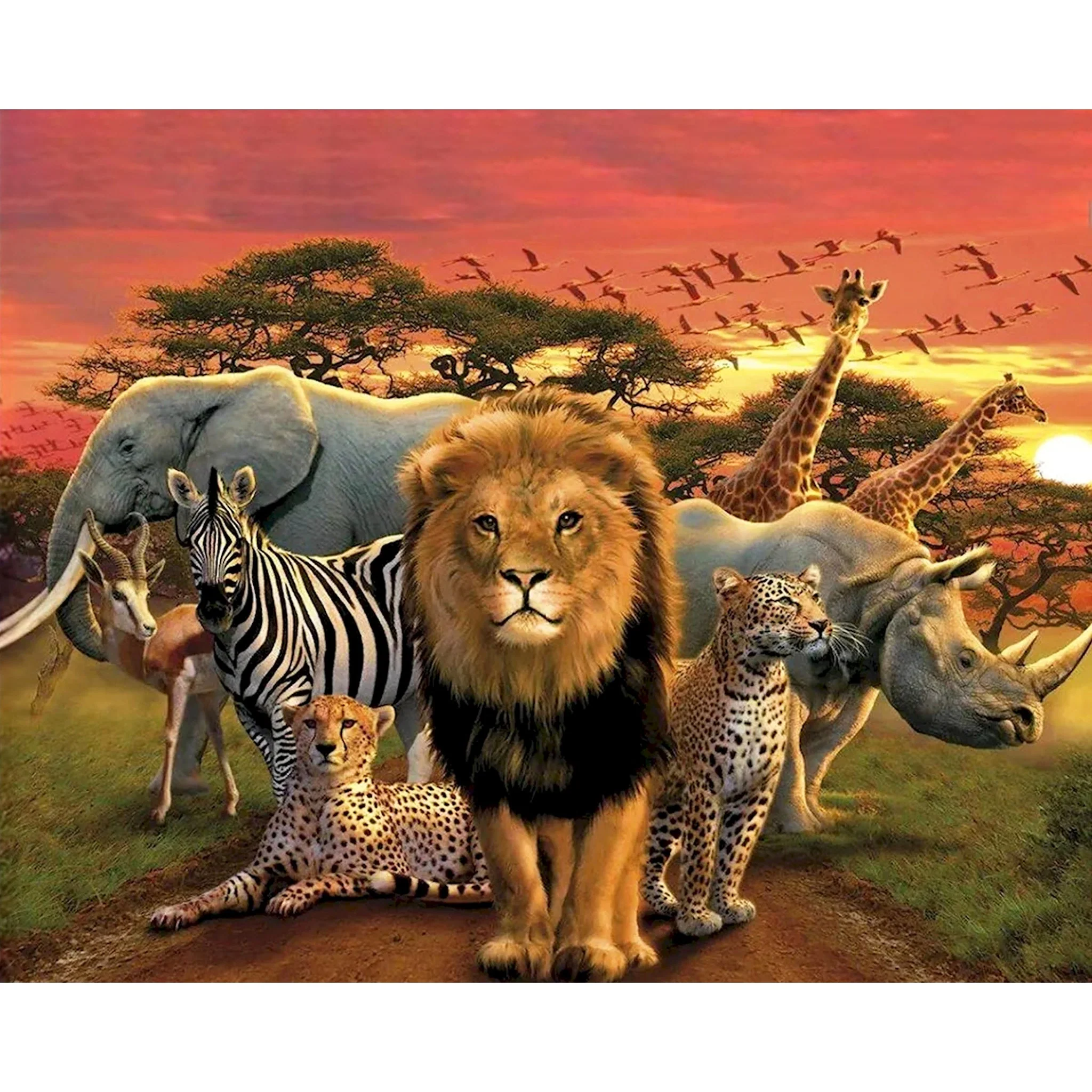 Amazing Safari Wildlife Sunset | Diamond Painting - Image 2