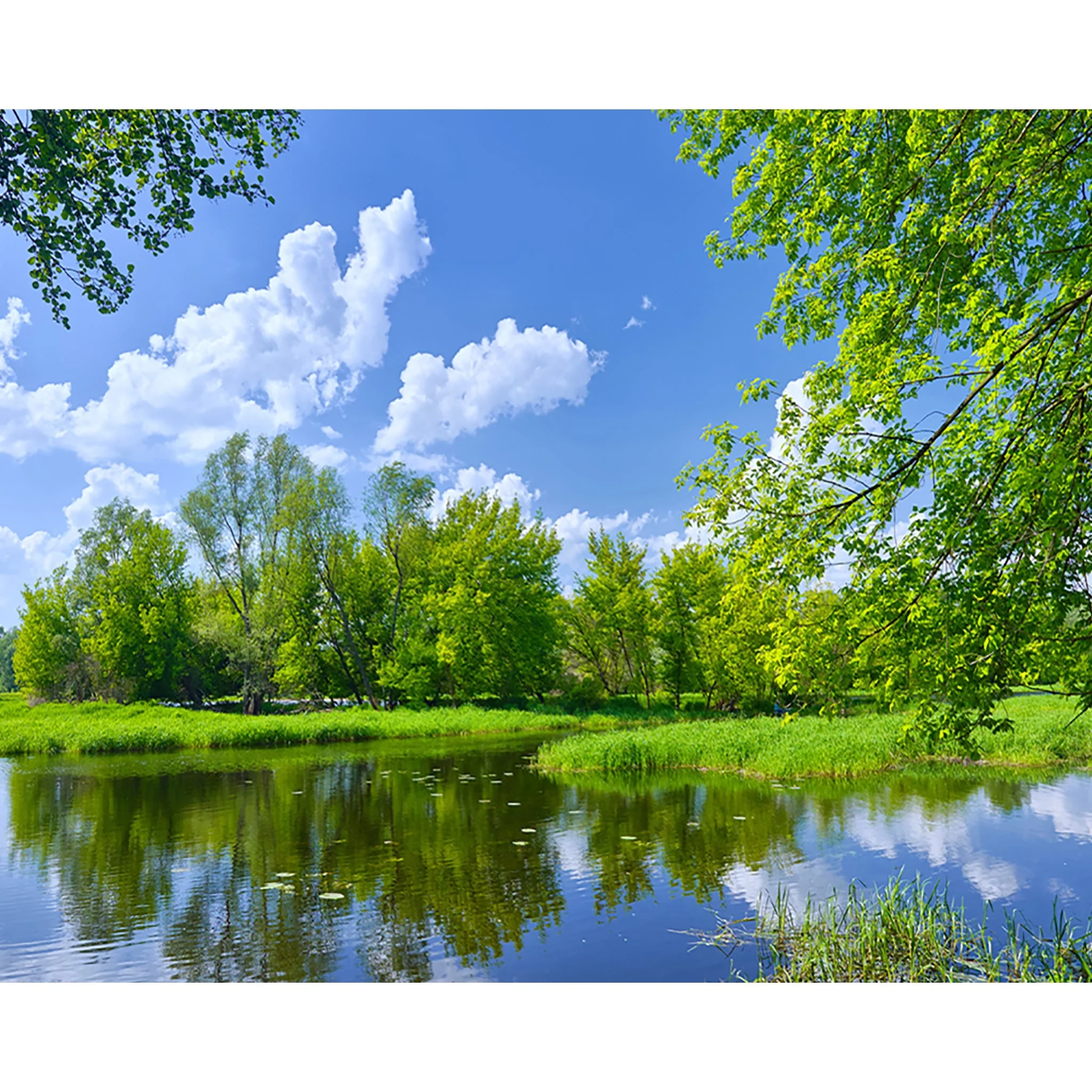 Spring Nature Forest Lake | Diamond Painting - Image 2