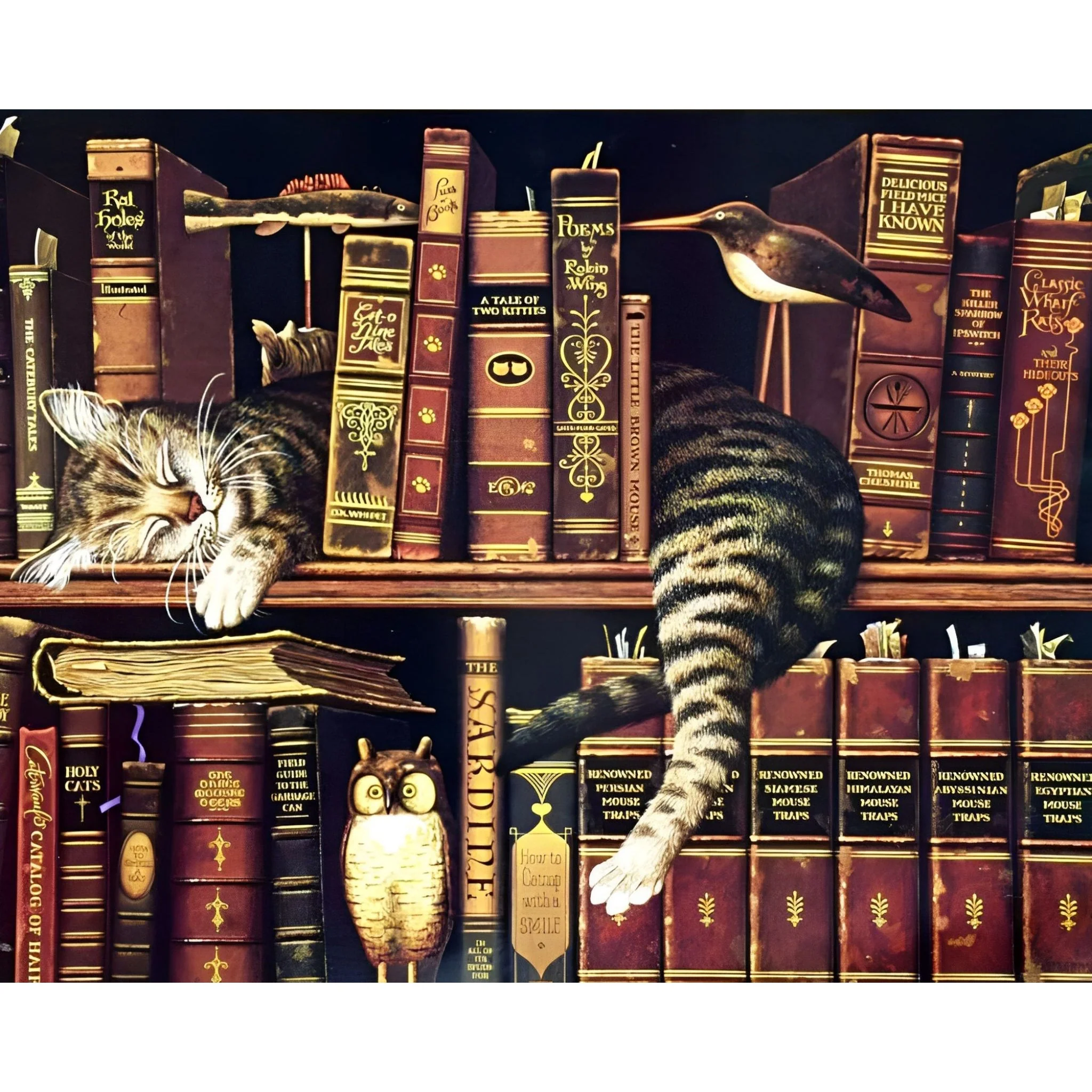 The Cat Sleeping On Shelf | Diamond Painting - Image 2