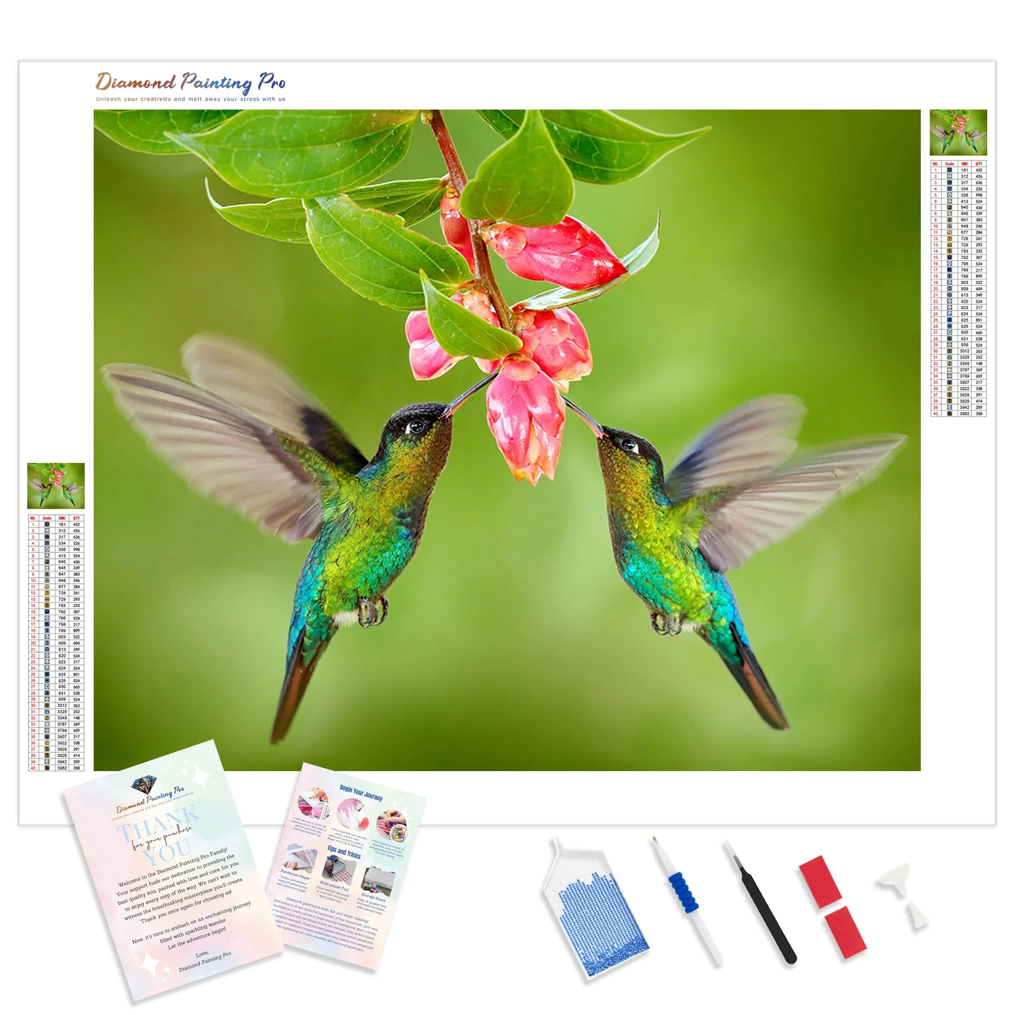 Colored Hummingbird | Diamond Painting