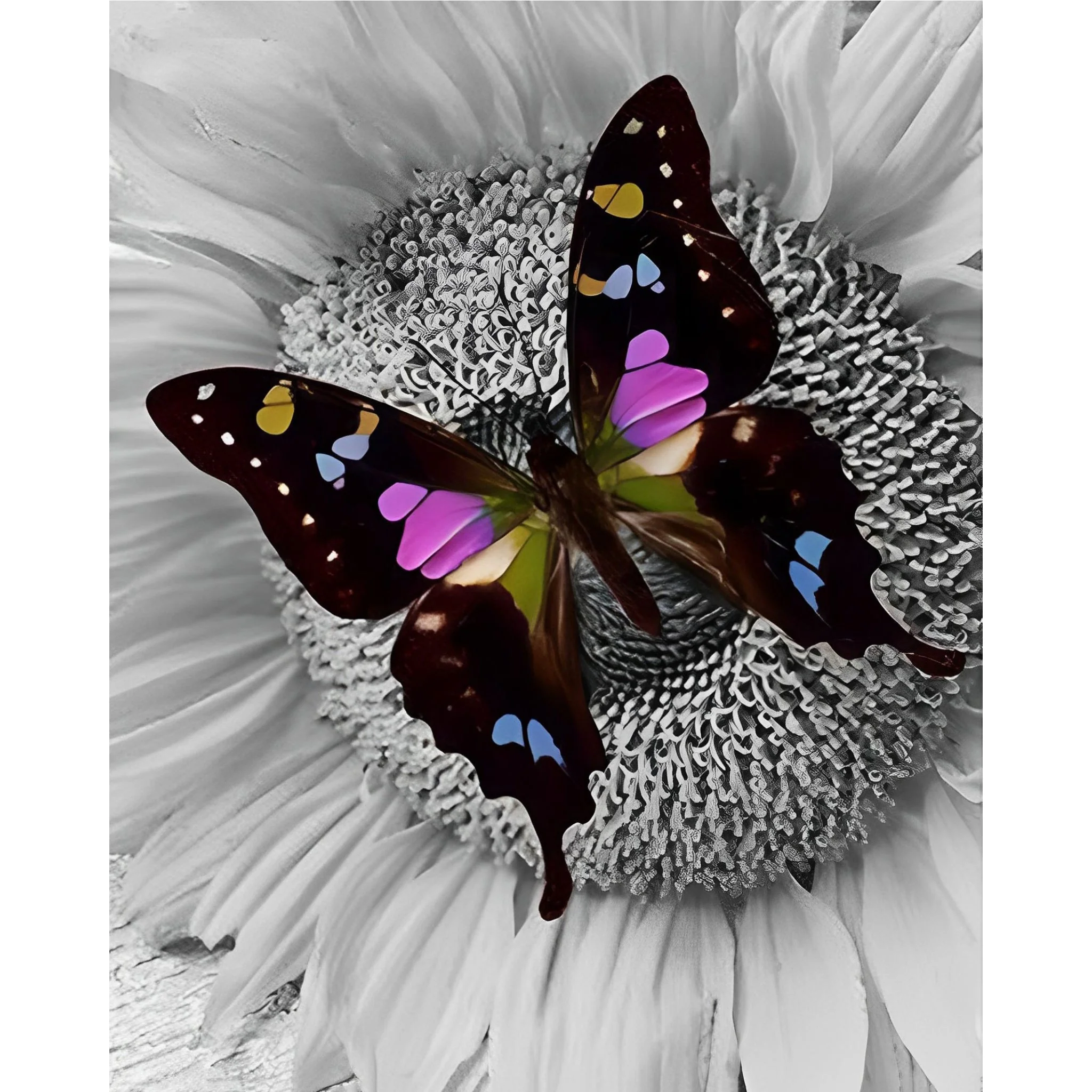 Butterfly on Sunflower | Diamond Painting - Image 2