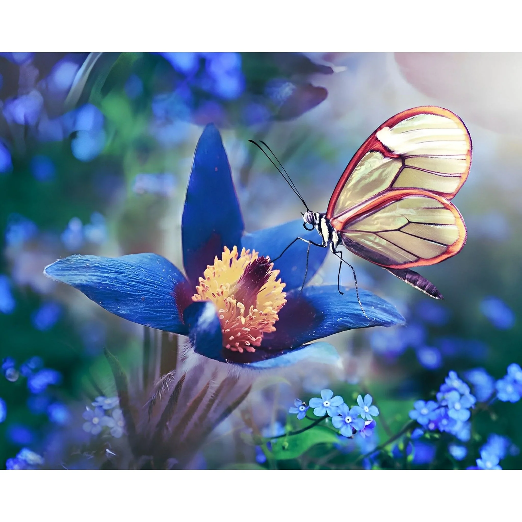 Sunlit Butterfly | Diamond Painting - Image 2