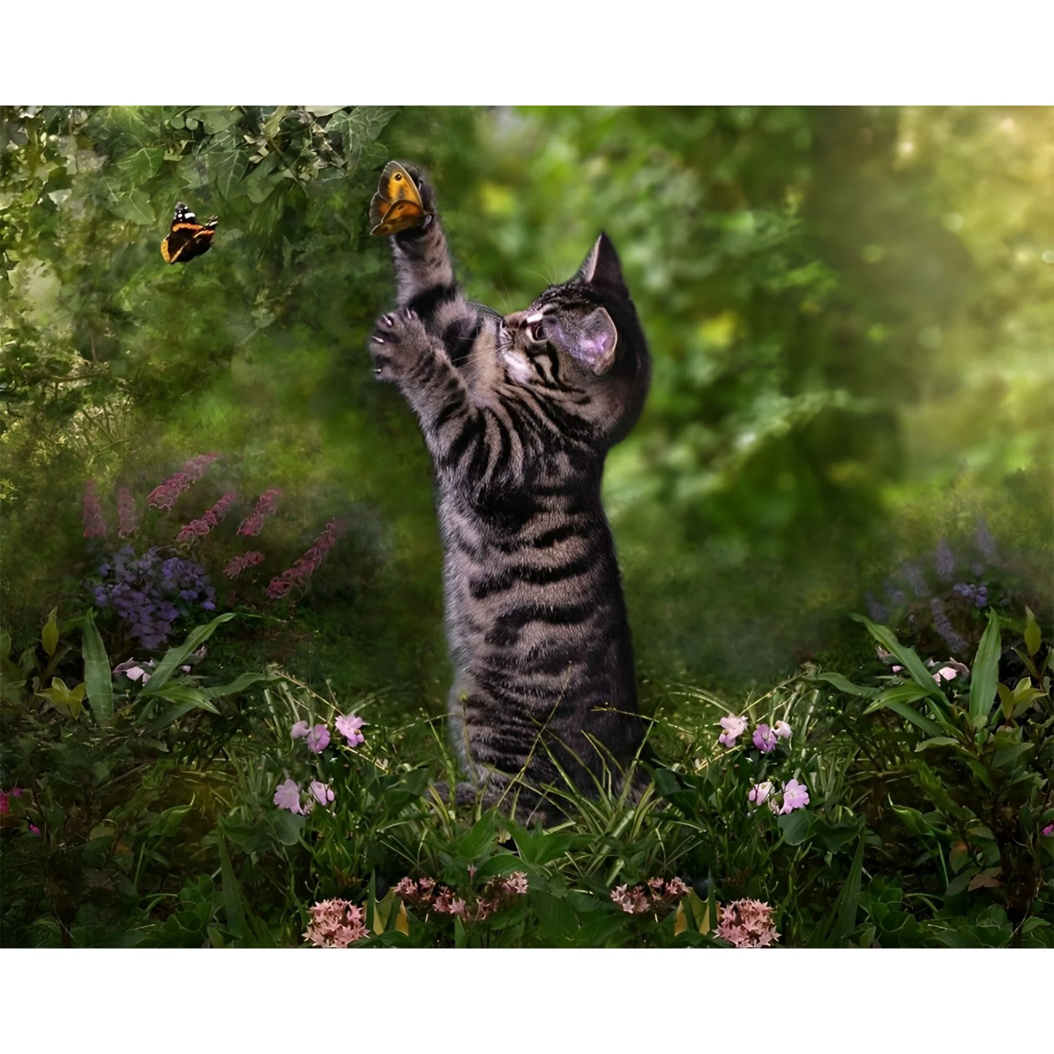 Cat with Butterflies | Diamond Painting - Image 2