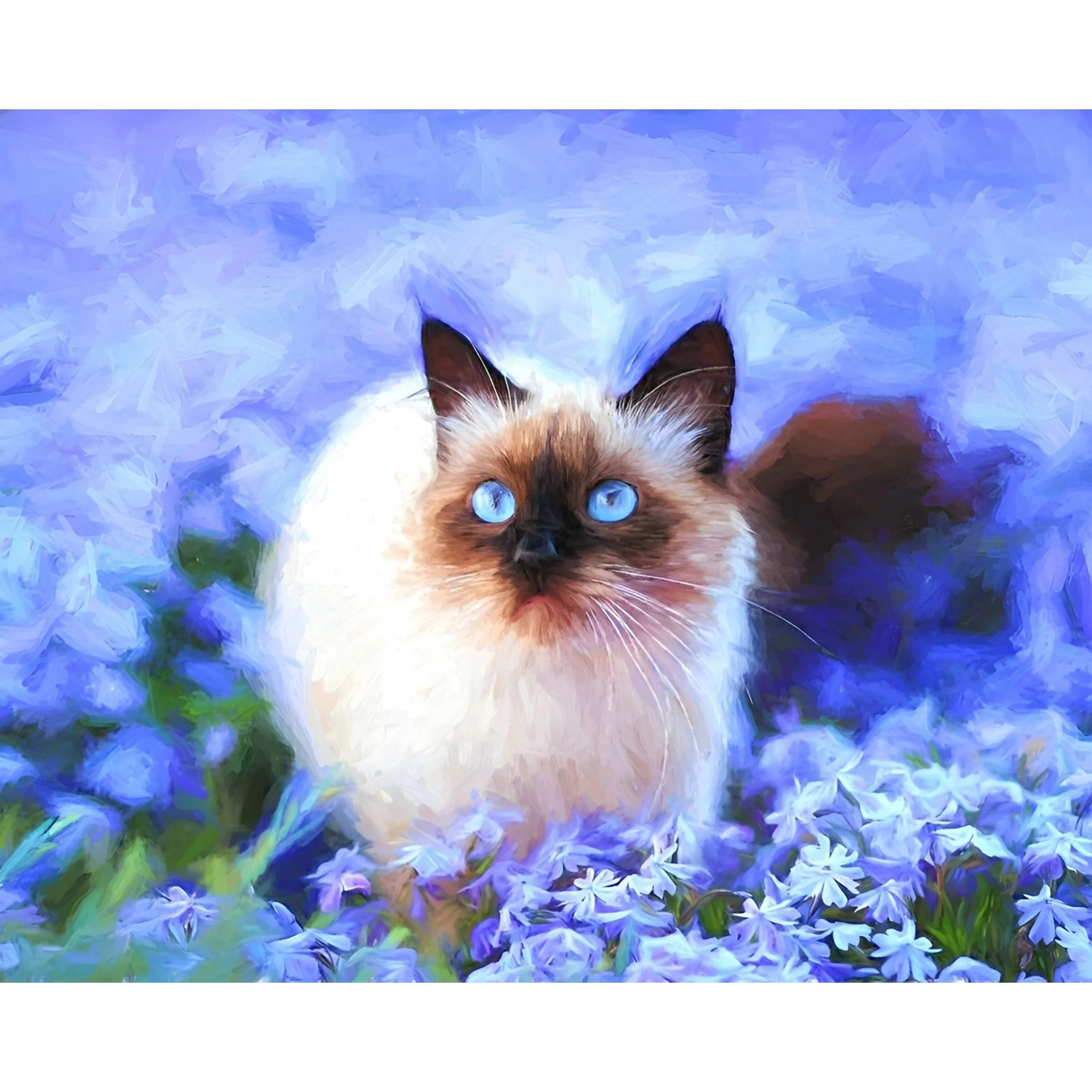 Chawer Cats | Diamond Painting - Image 2