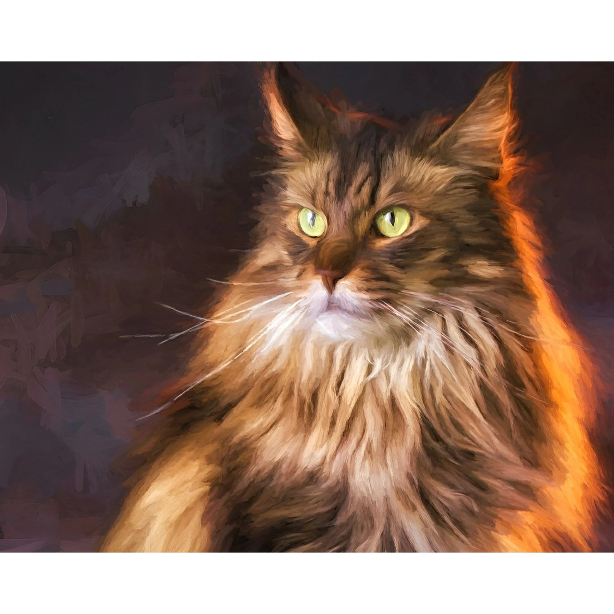 Maine Coon | Diamond Painting - Image 2