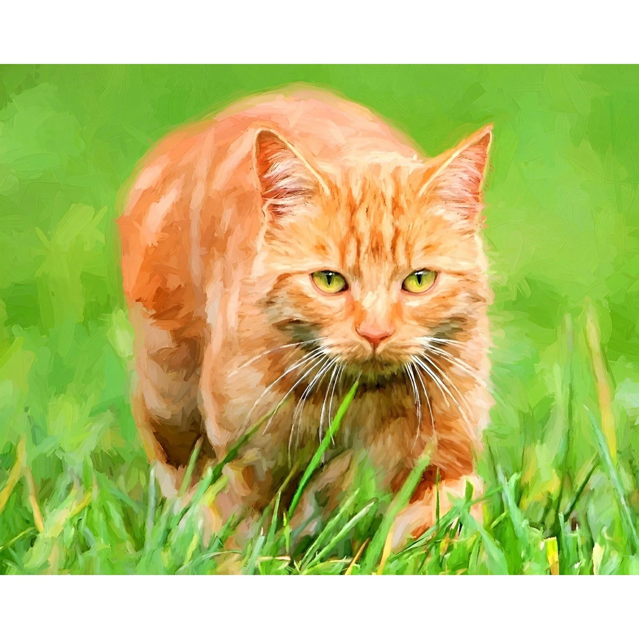 Orange Tabby Cat | Diamond Painting - Image 2
