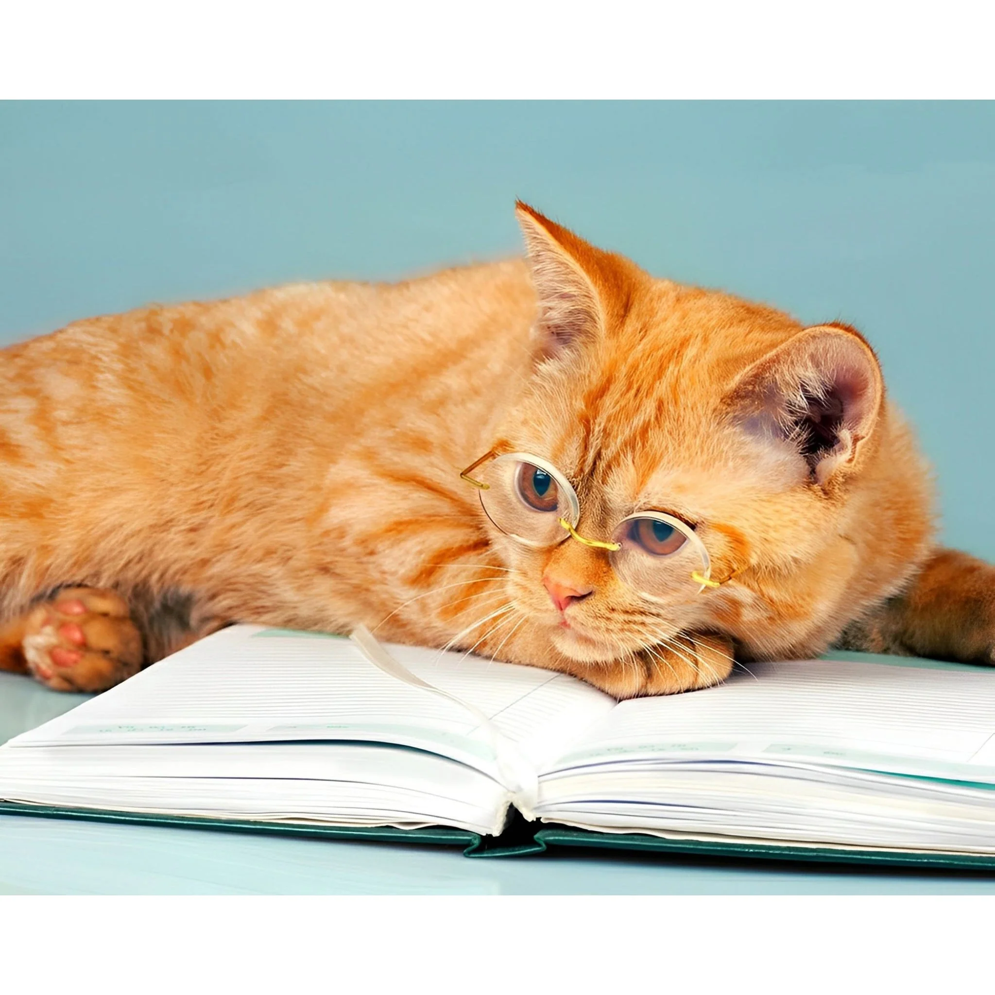 Nerdy Kitty | Diamond Painting - Image 2