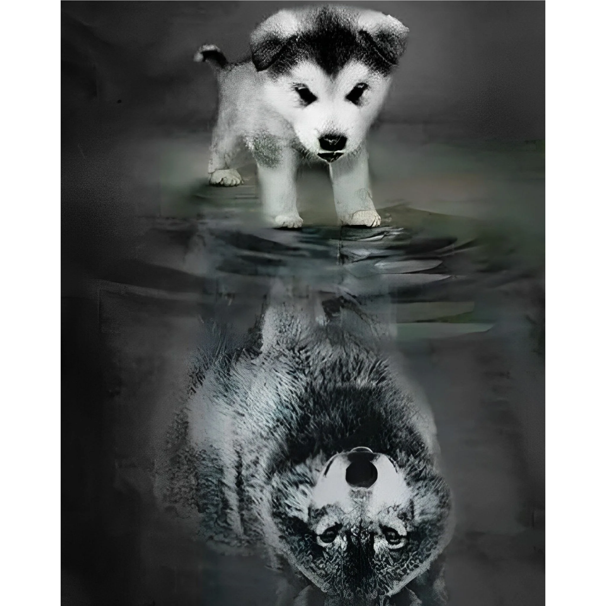 Dream Big | Diamond Painting - Image 2