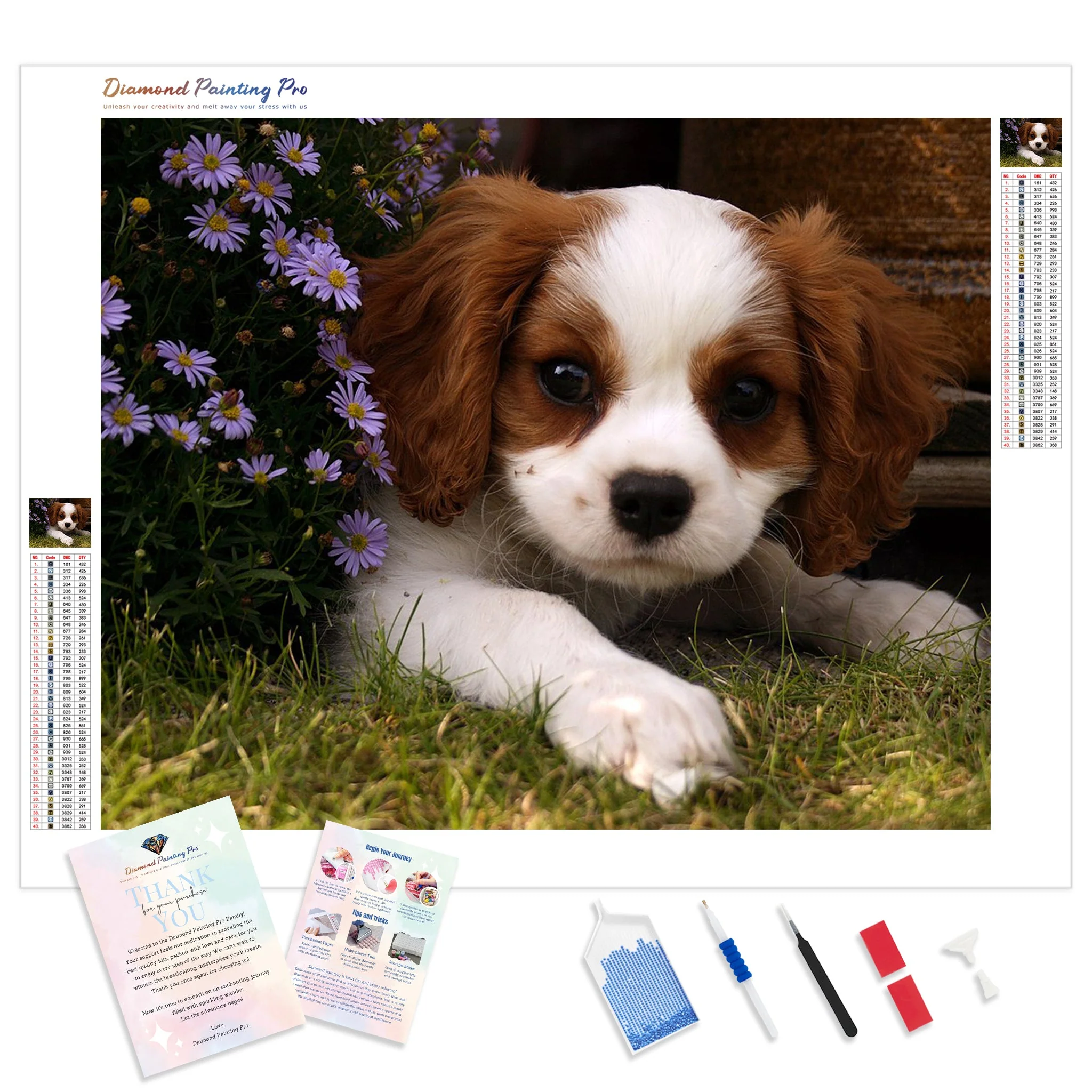 Friendly Face | Diamond Painting