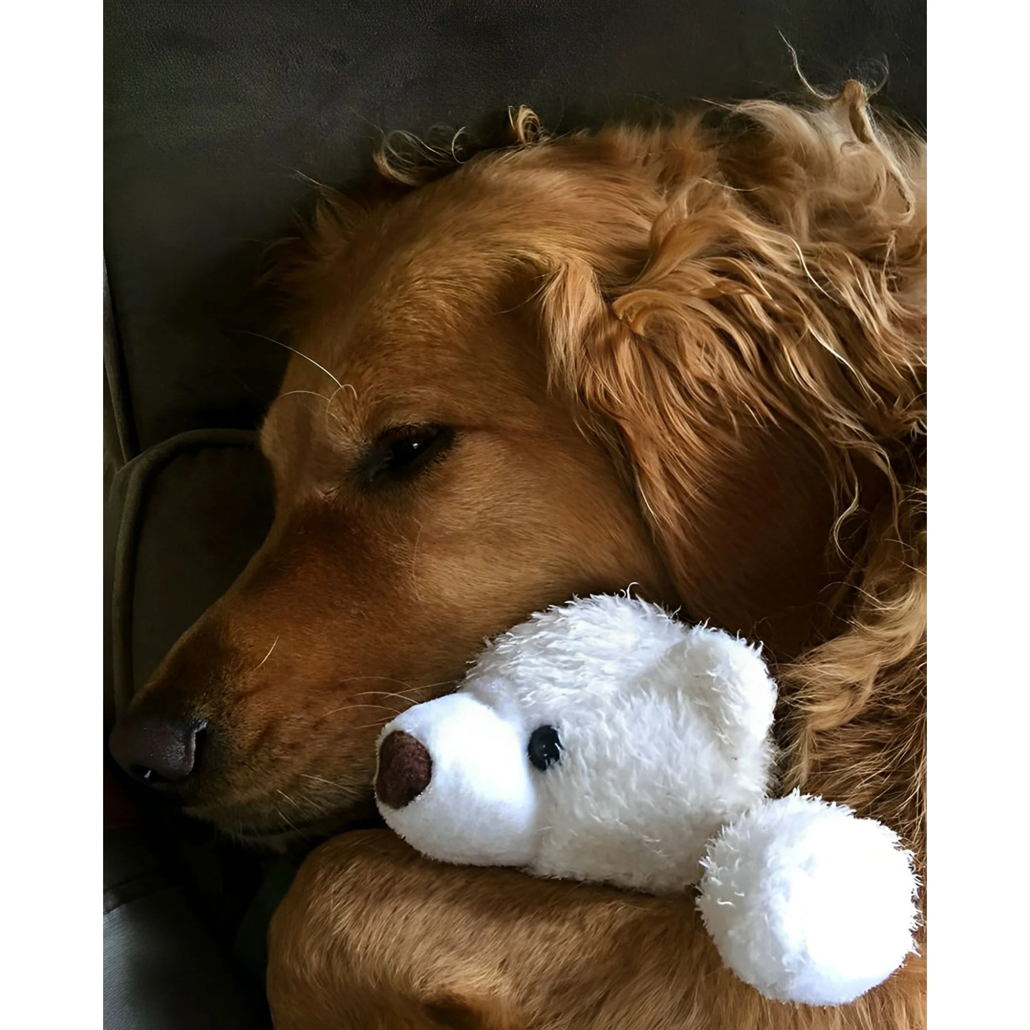 Cuddling with My Friend | Diamond Painting - Image 2
