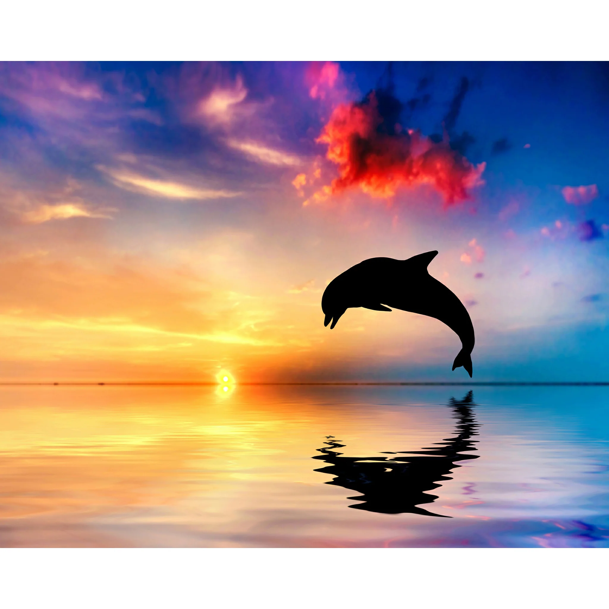 Sea Dolphin | Diamond Painting - Image 2