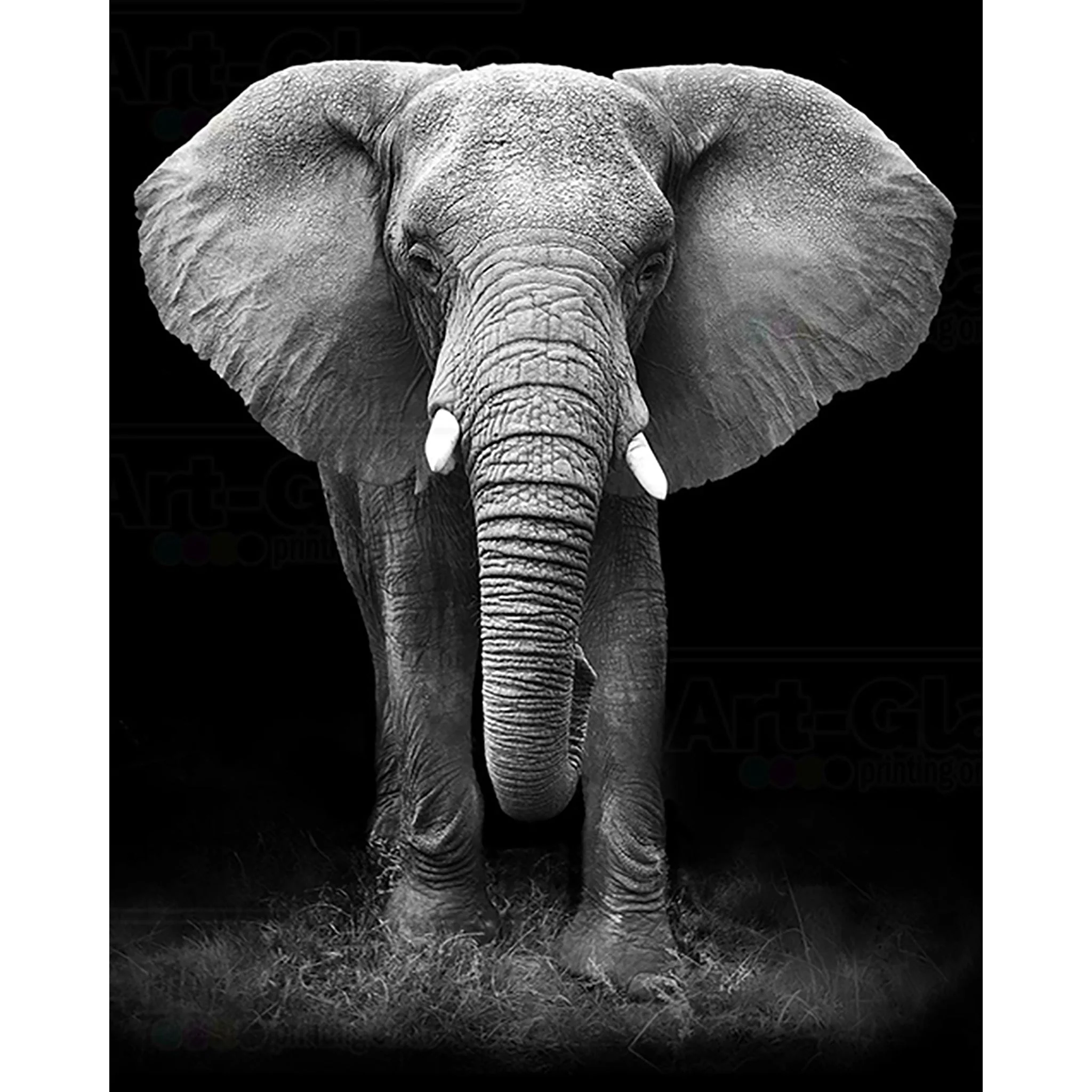 African Elephant | Diamond Painting - Image 2
