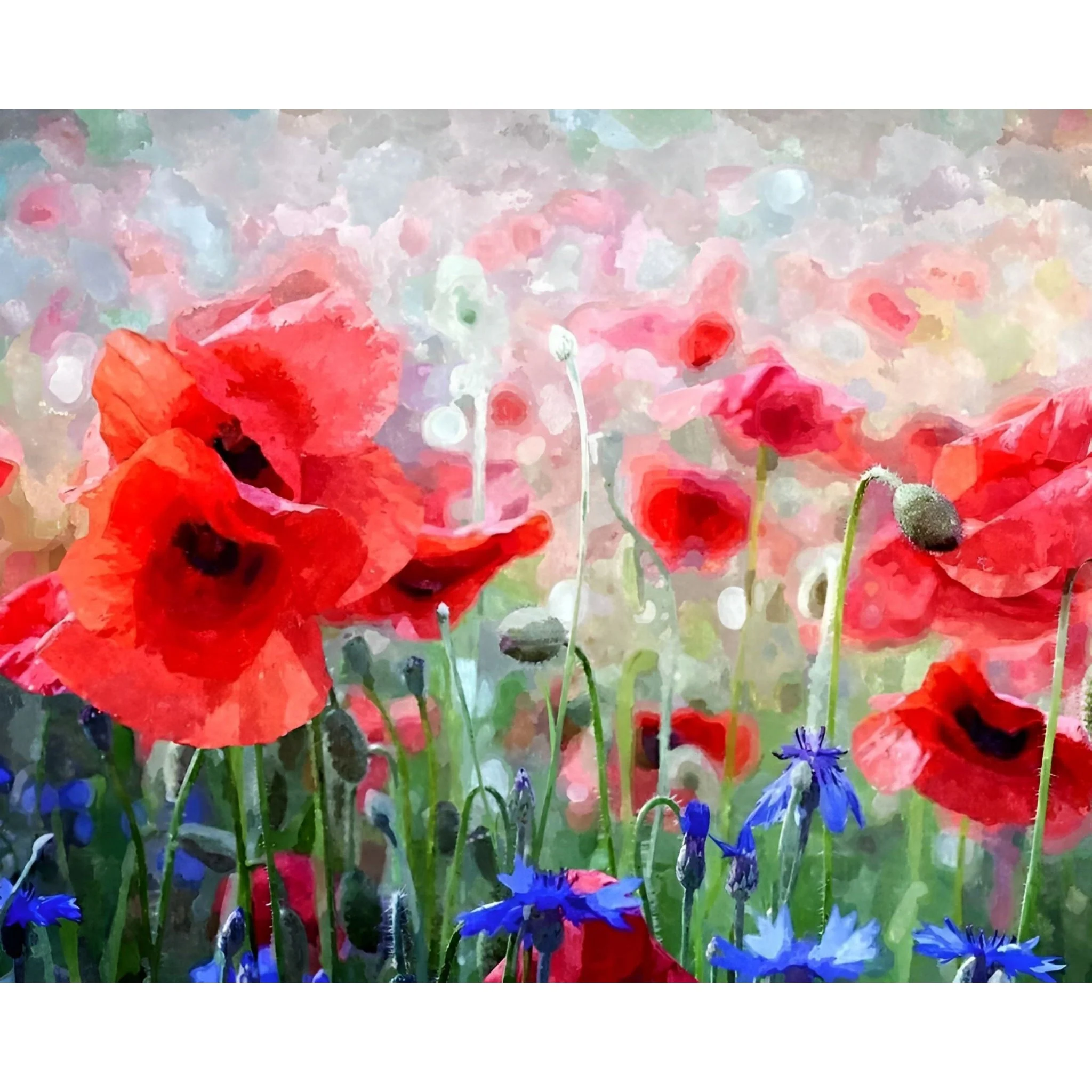 Red Poppies and Blue Cornflowers | Diamond Painting - Image 2