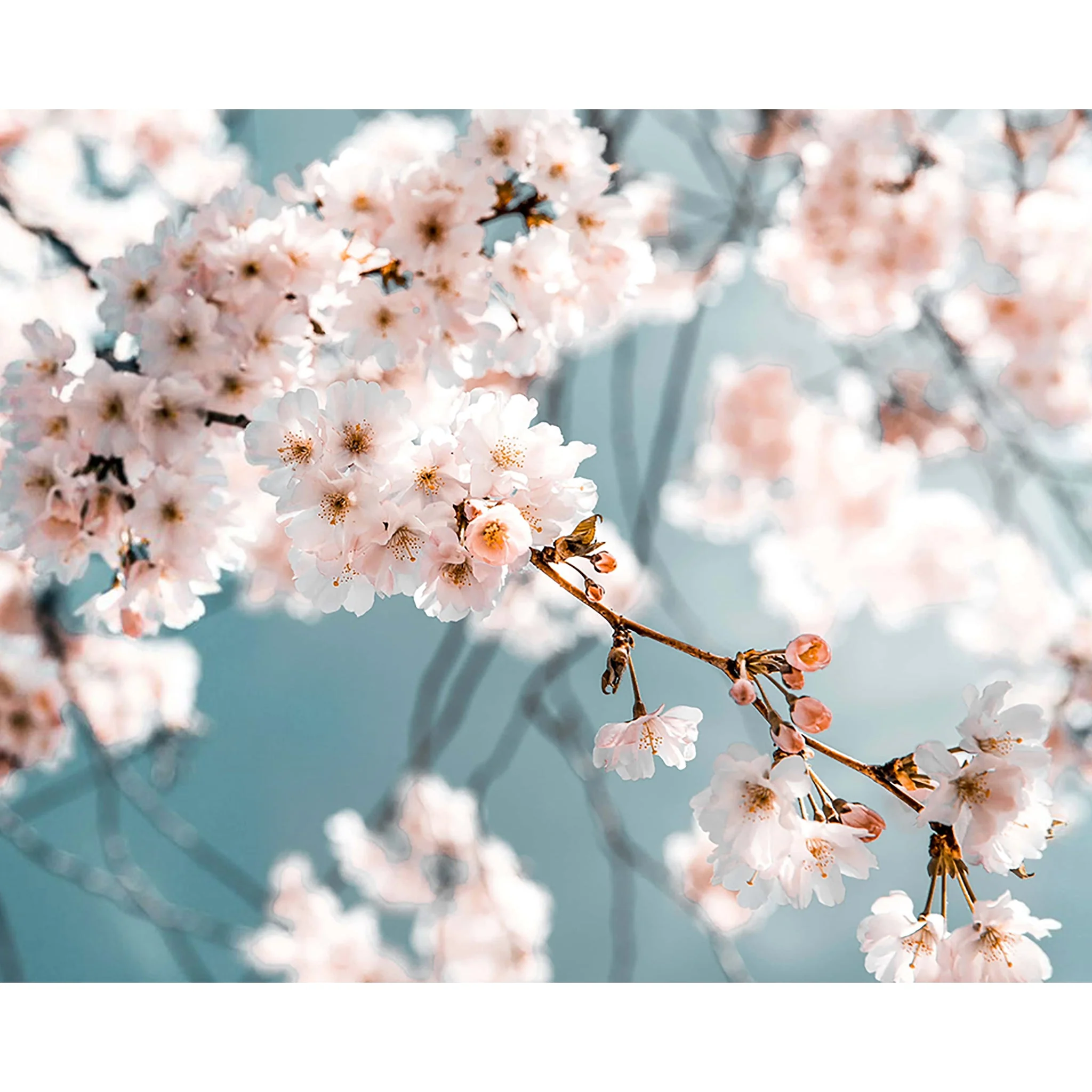 Blooming Peach Blossoms | Diamond Painting - Image 2