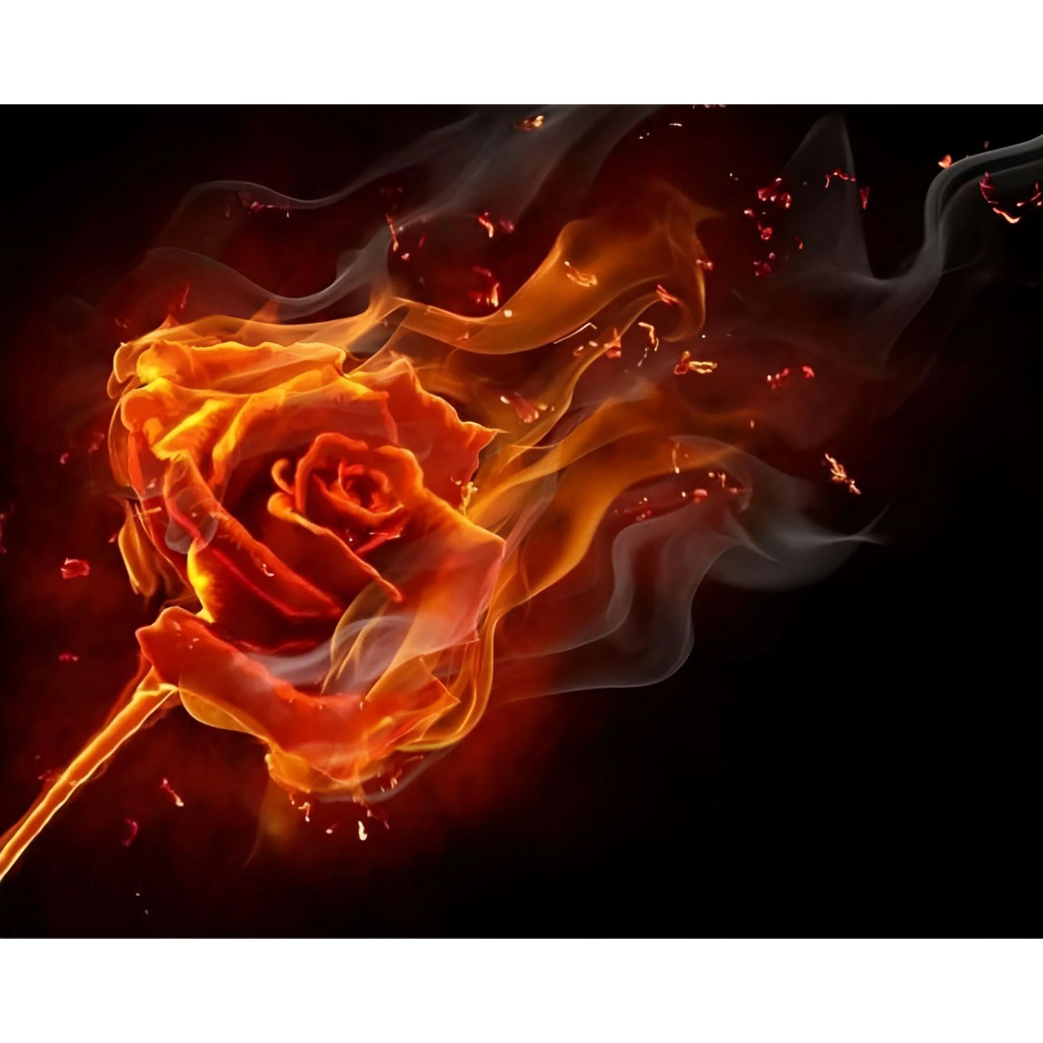Rose on Fire | Diamond Painting - Image 2