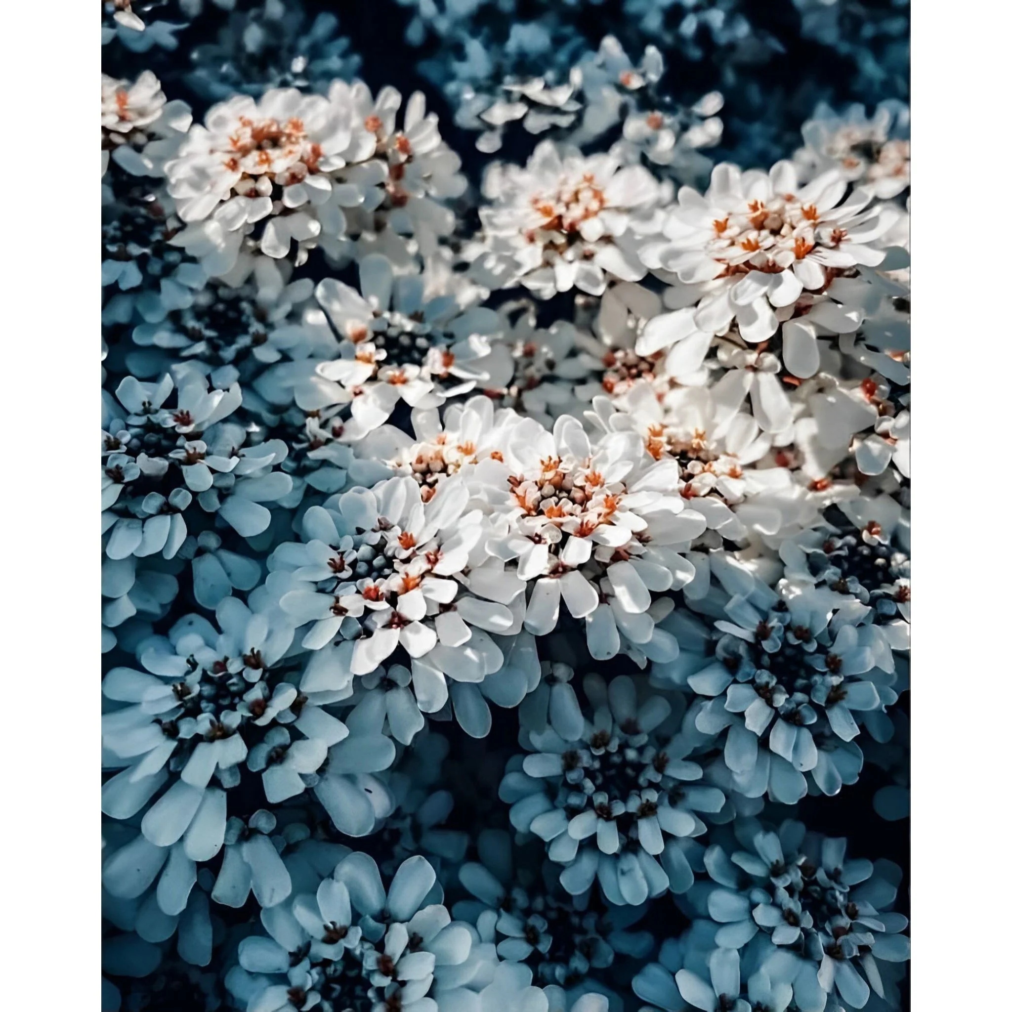Flowers Bunch | Diamond Painting - Image 2