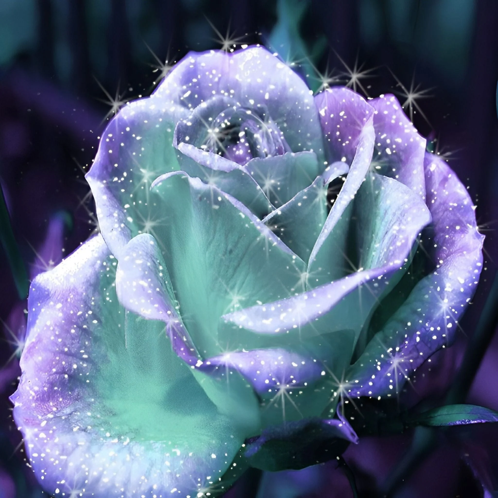 Flowers Rose | Diamond Painting - Image 2