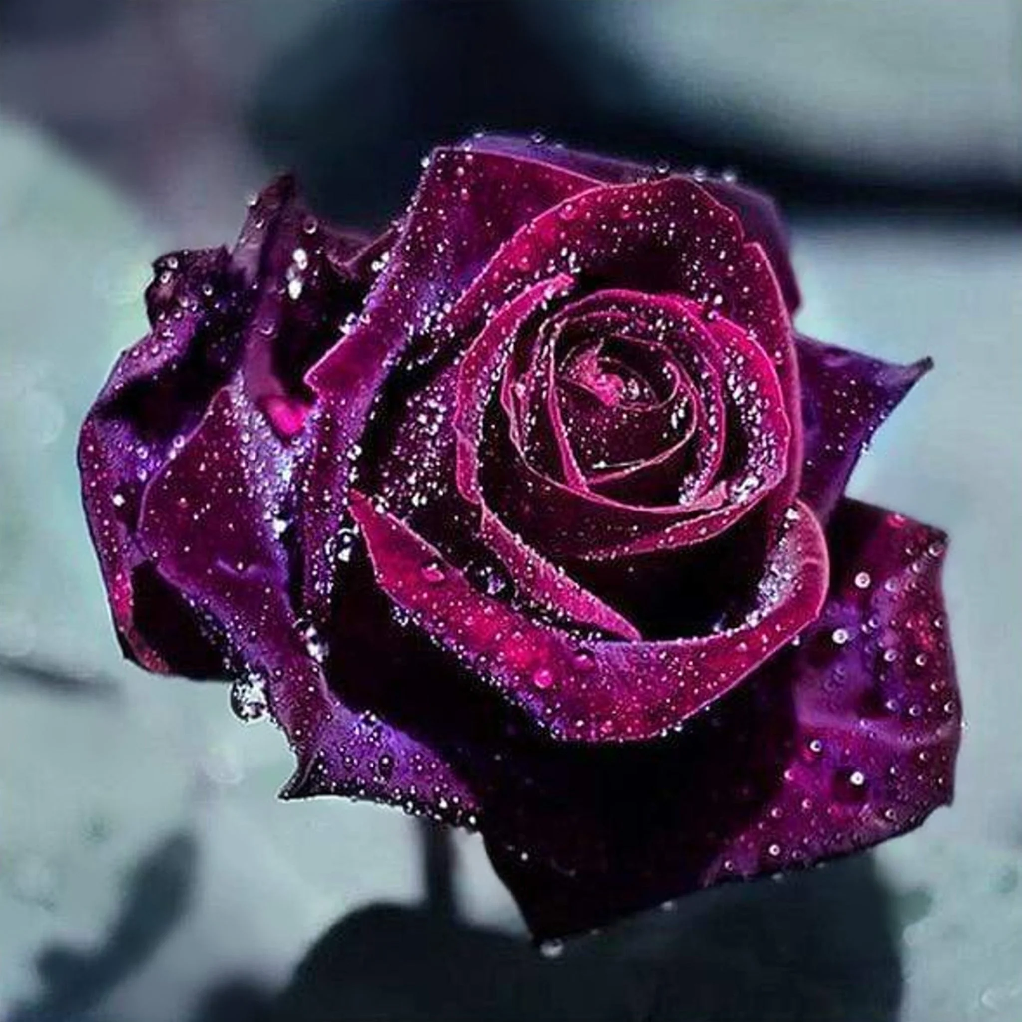 Dark Red Rose | Diamond Painting - Image 2