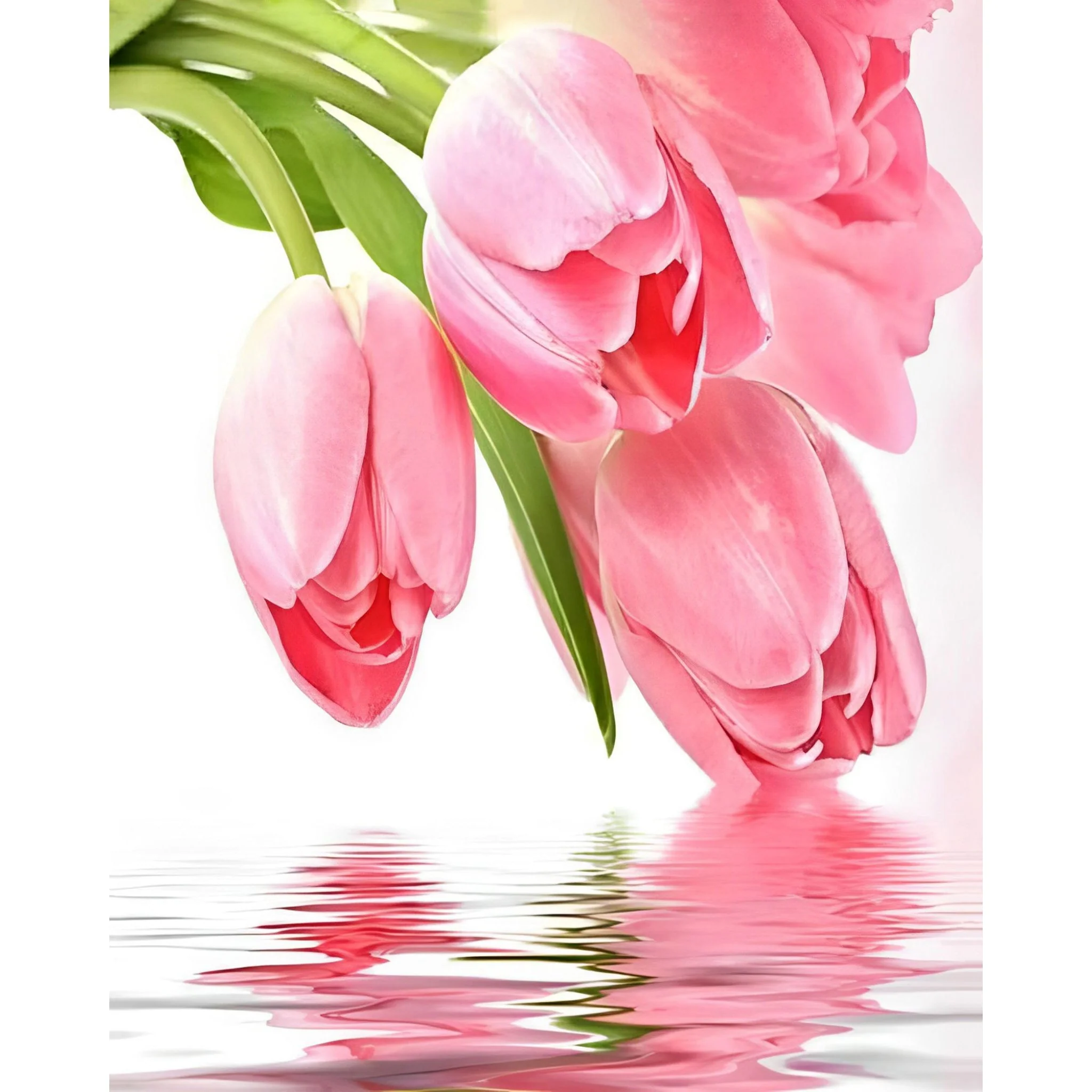 Tulips Hanging on the Water | Diamond Painting - Image 2