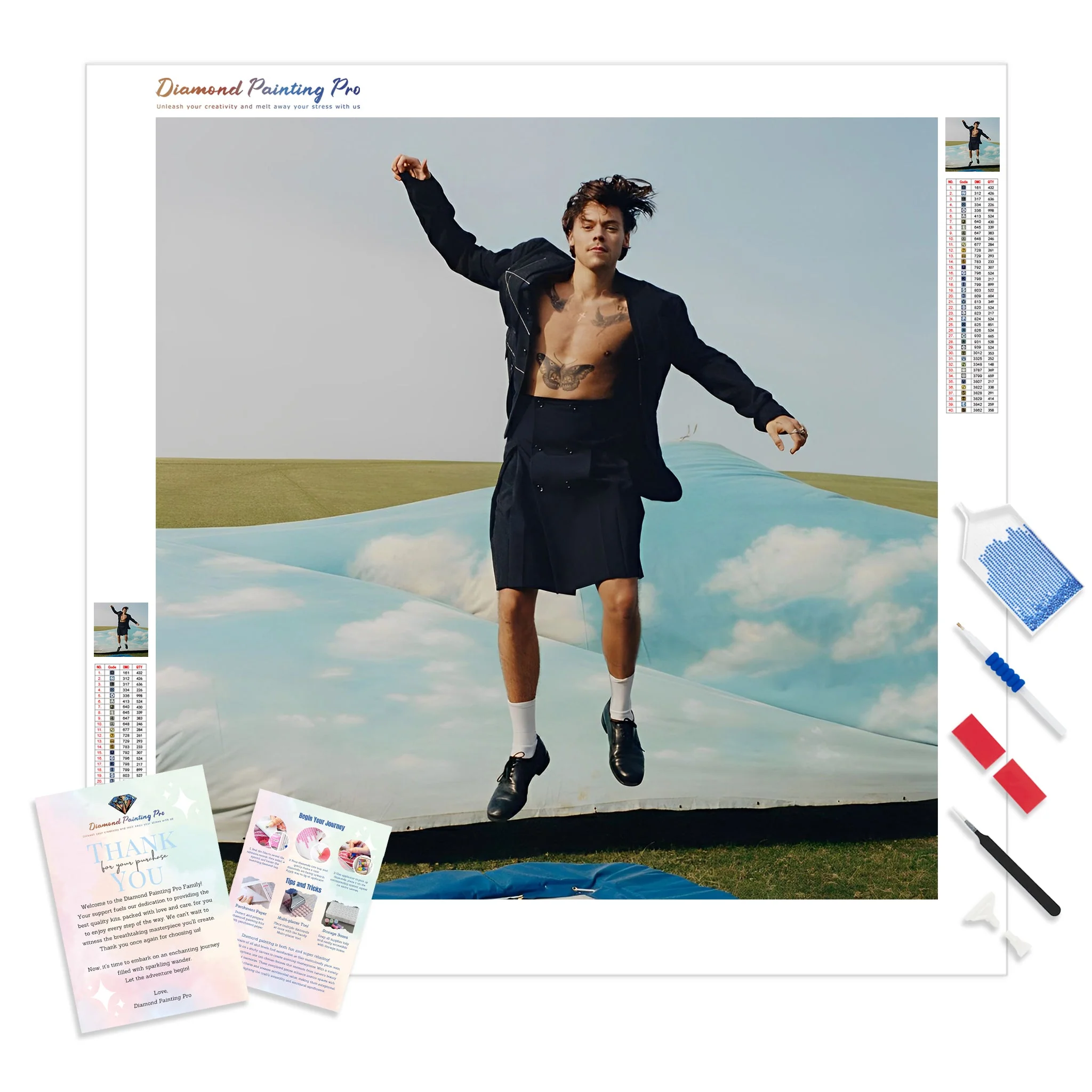 Harry Styles Outdoor | Diamond Painting