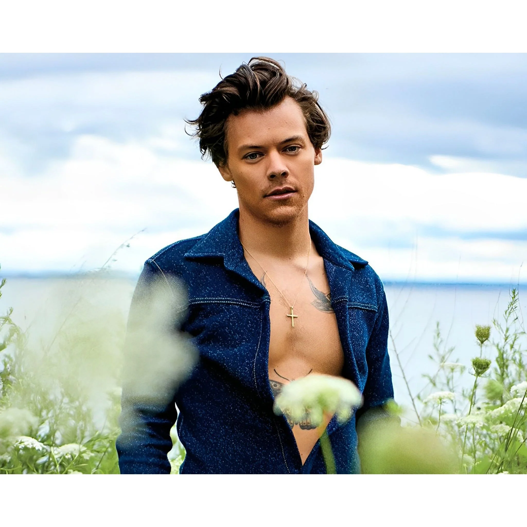 Harry Styles The Star | Diamond Painting - Image 2