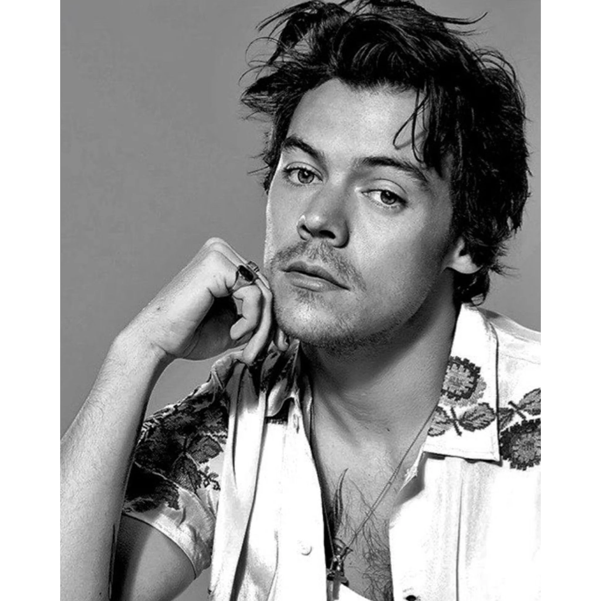 Harry Styles Black and White | Diamond Painting - Image 2