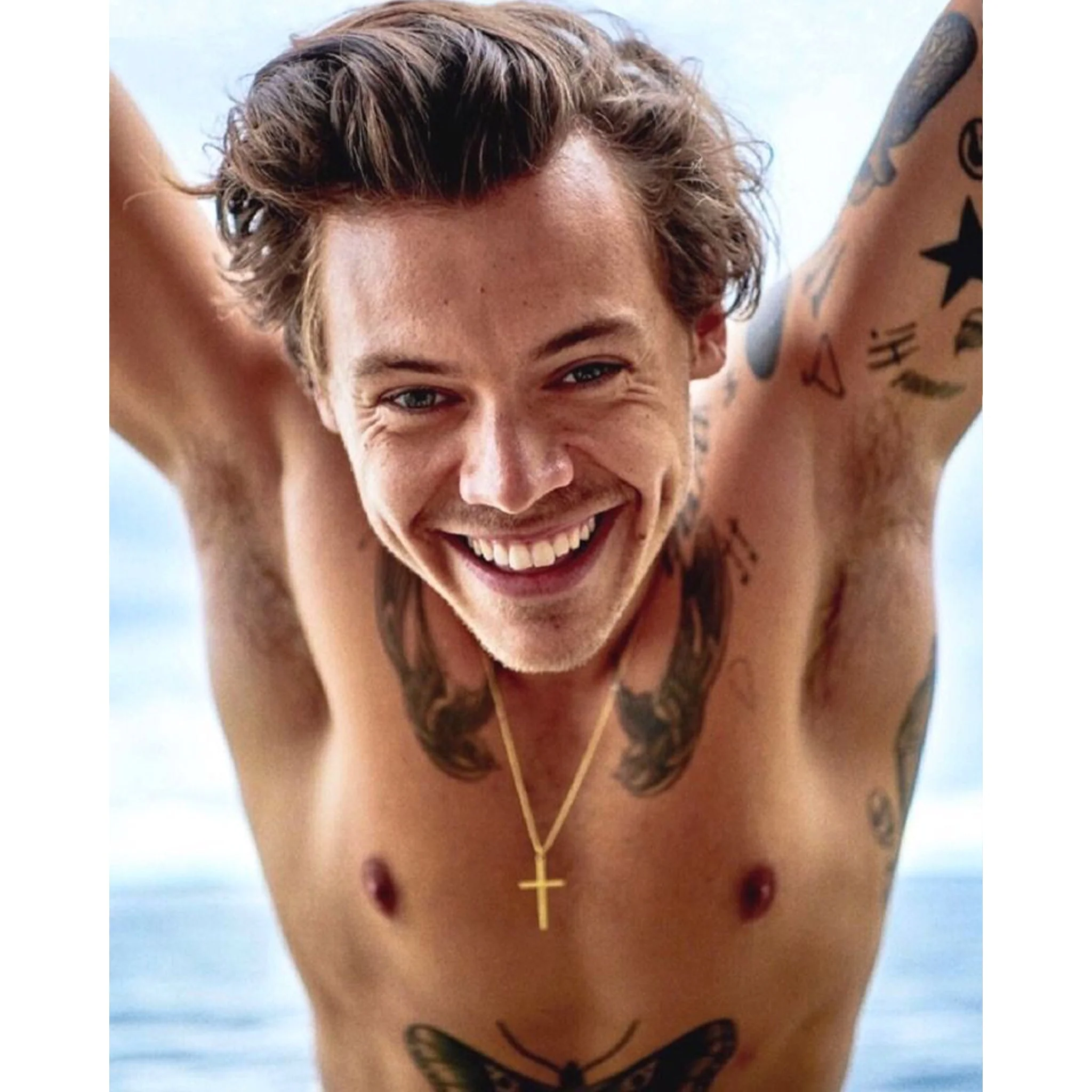 Harry Styles Singer | Diamond Painting - Image 2