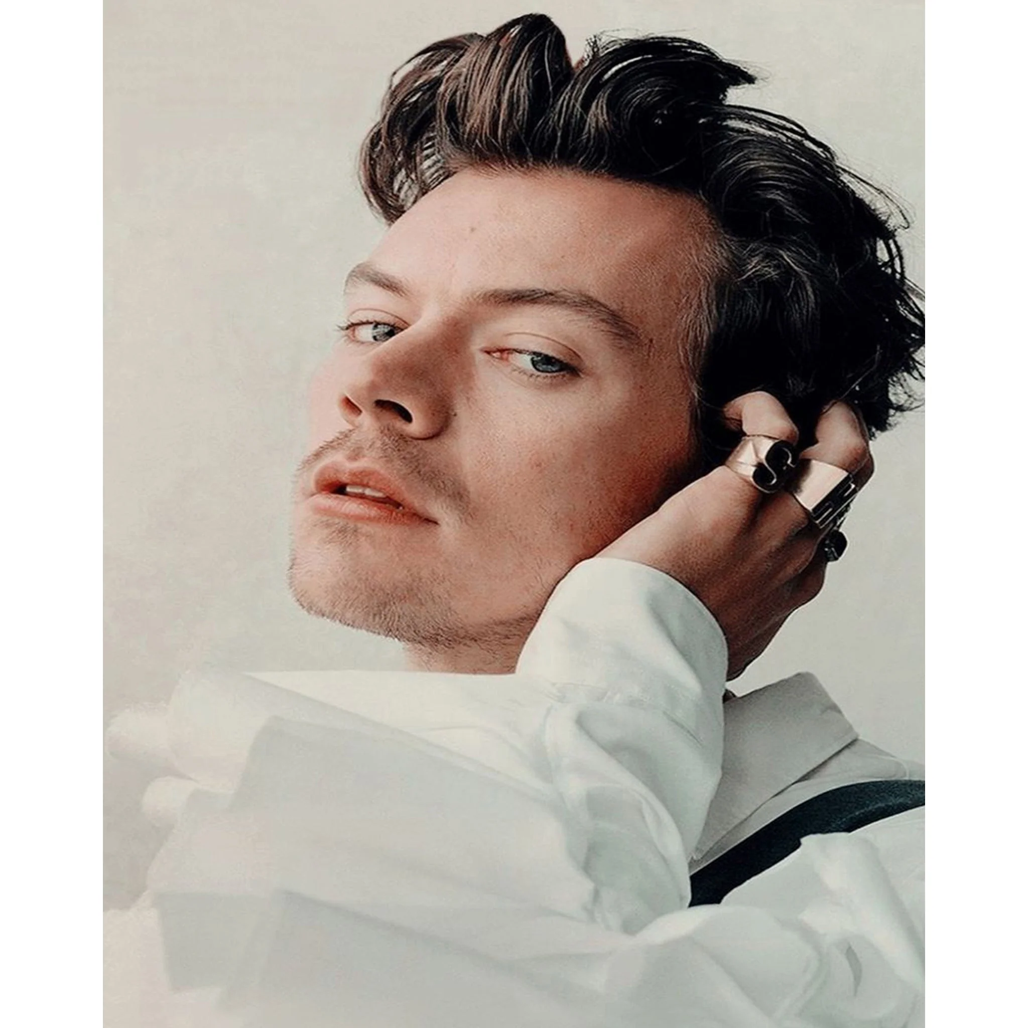 Cool Harry Styles | Diamond Painting - Image 2