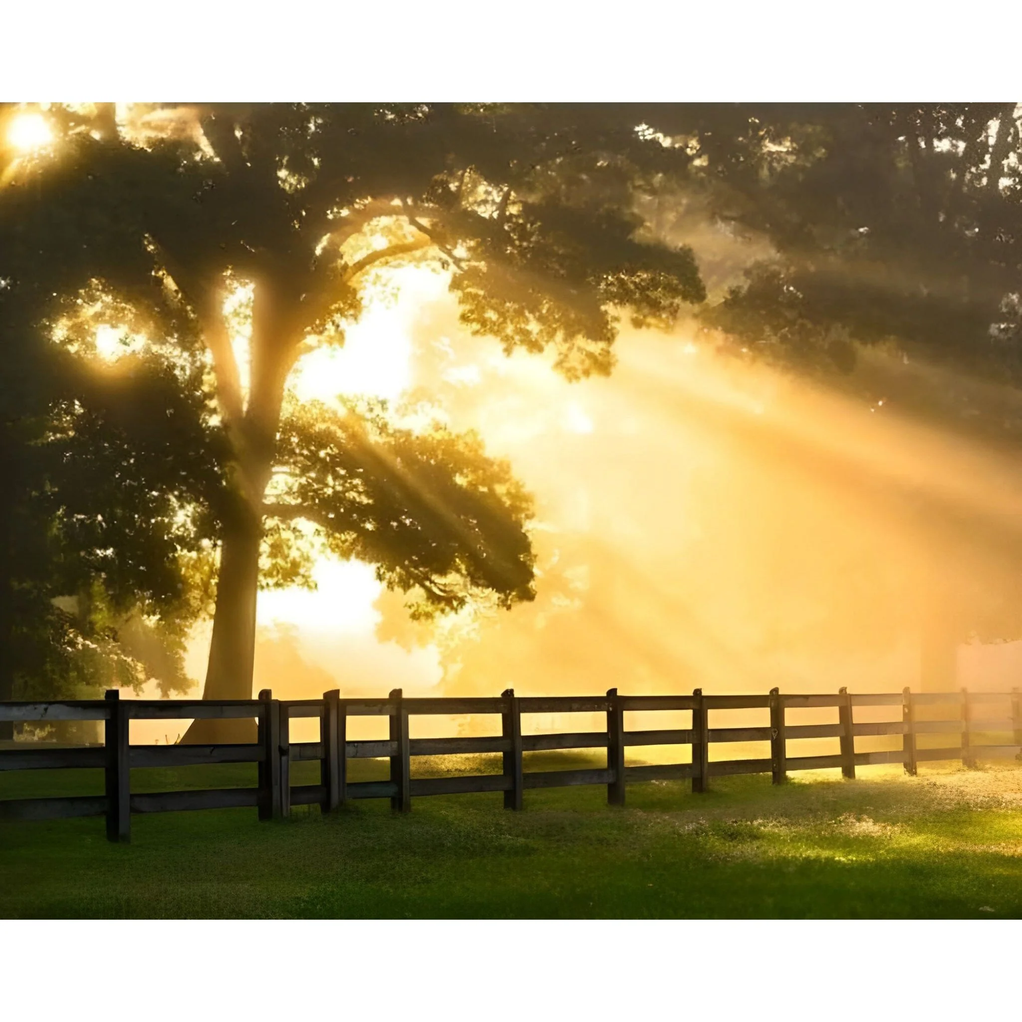 Break of Dawn | Diamond Painting - Image 2