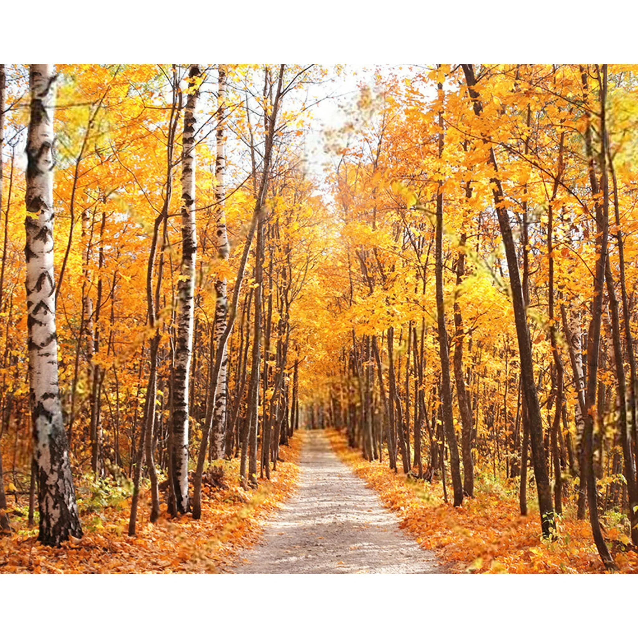 Forest Trail | Diamond Painting - Image 2