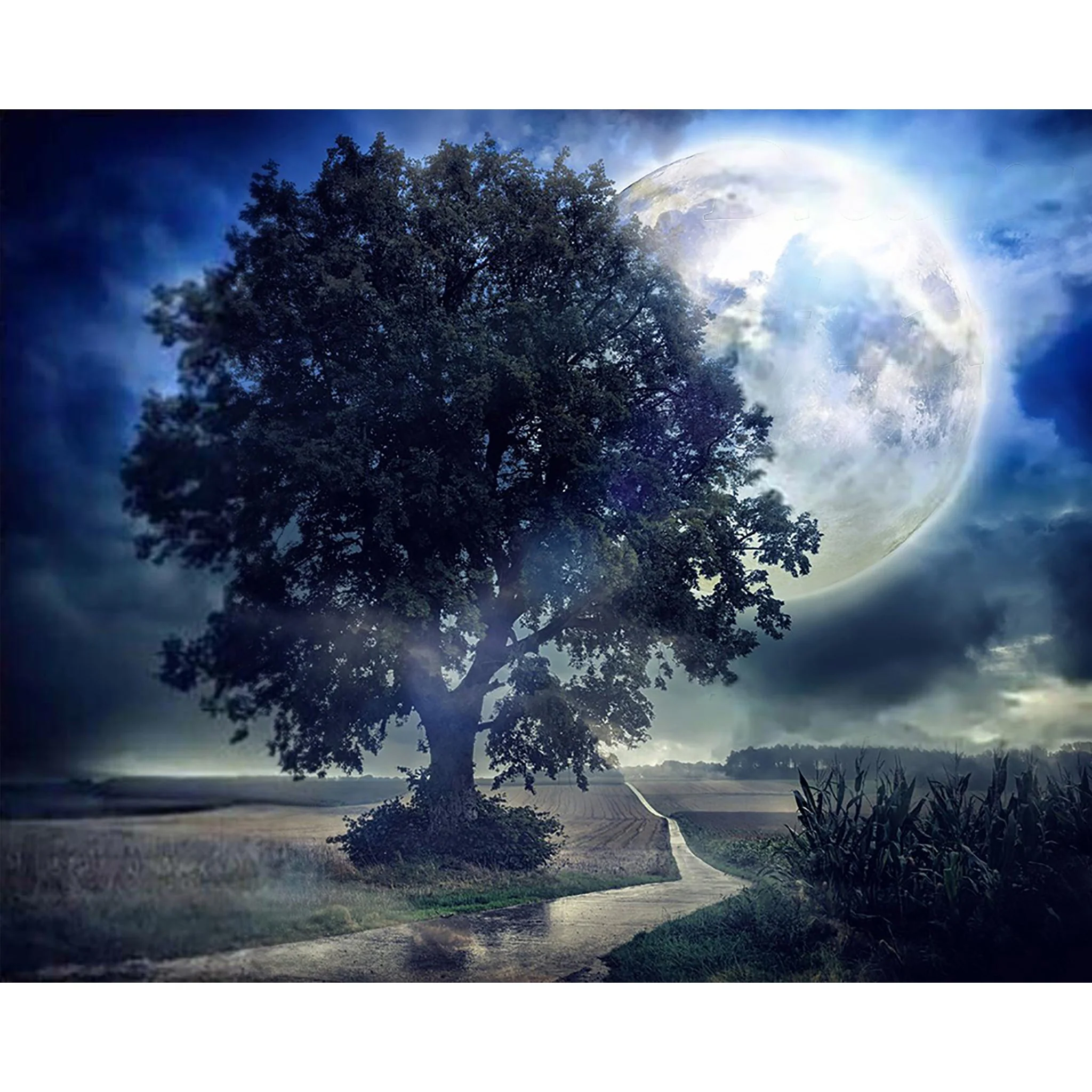 Giant Moon Summer Night | Diamond Painting - Image 2