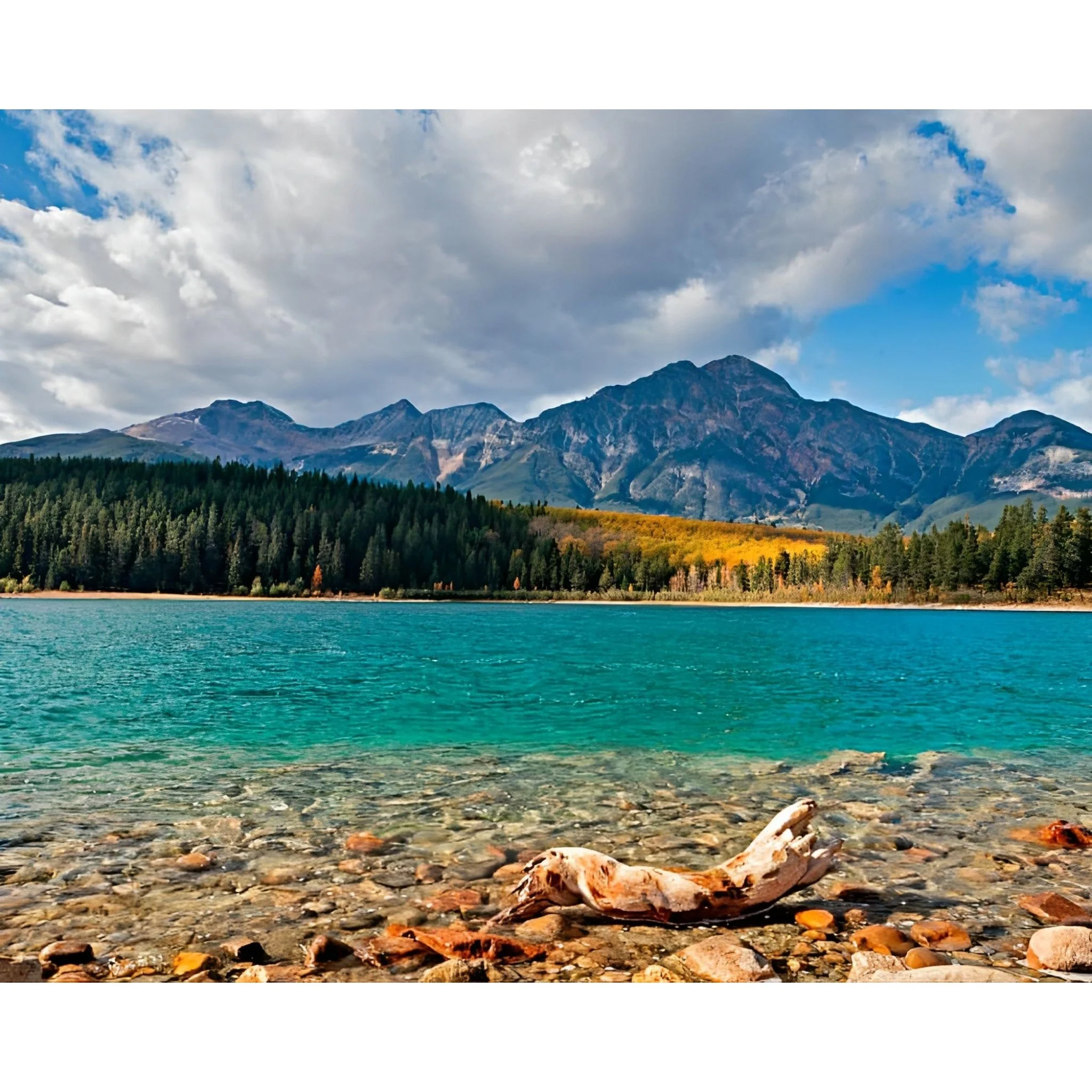 Patricia Lake | Diamond Painting - Image 2