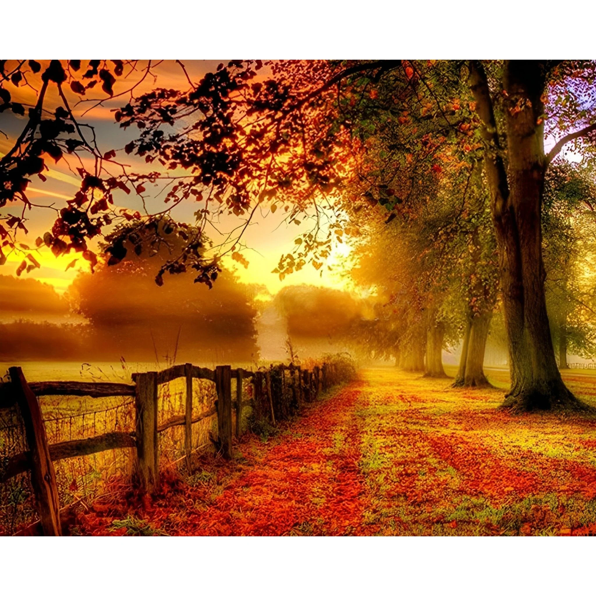 Autumn Forest Landscape | Diamond Painting - Image 2