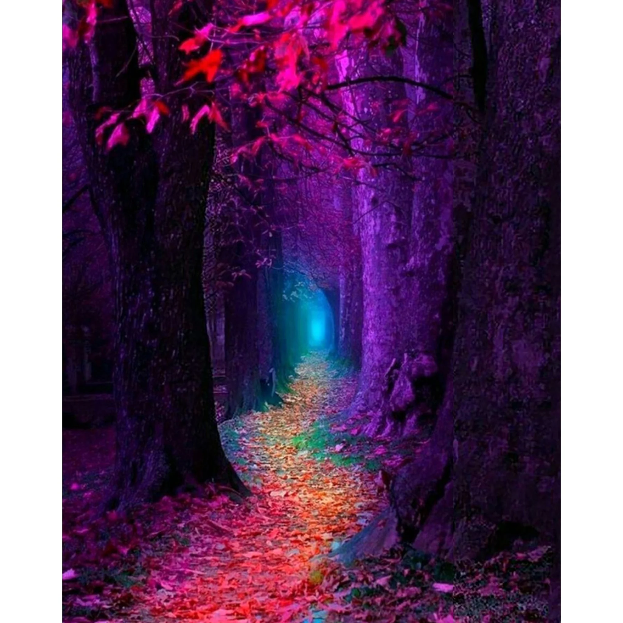 Quiet Forest | Diamond Painting - Image 2