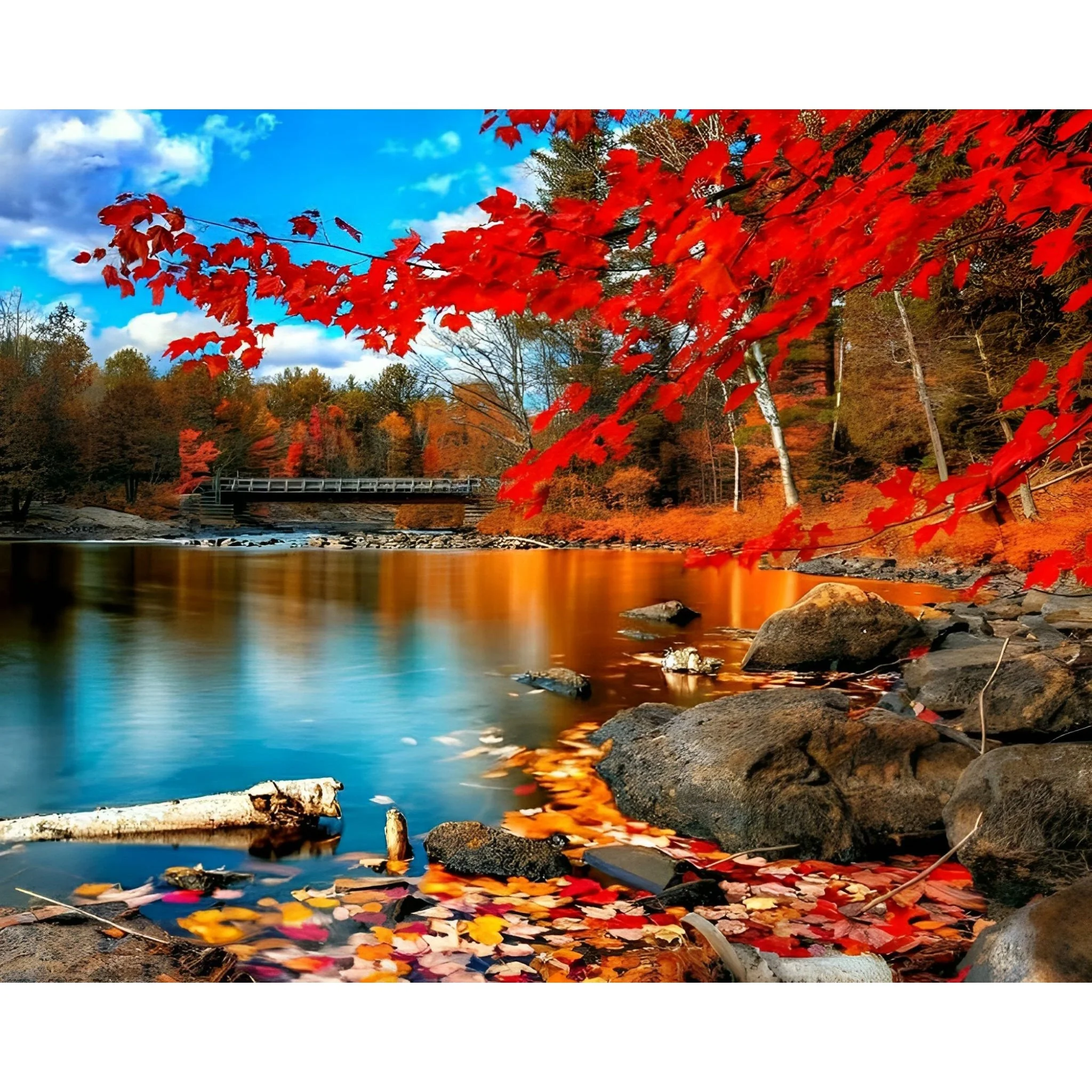 Season of Fall | Diamond Painting - Image 2