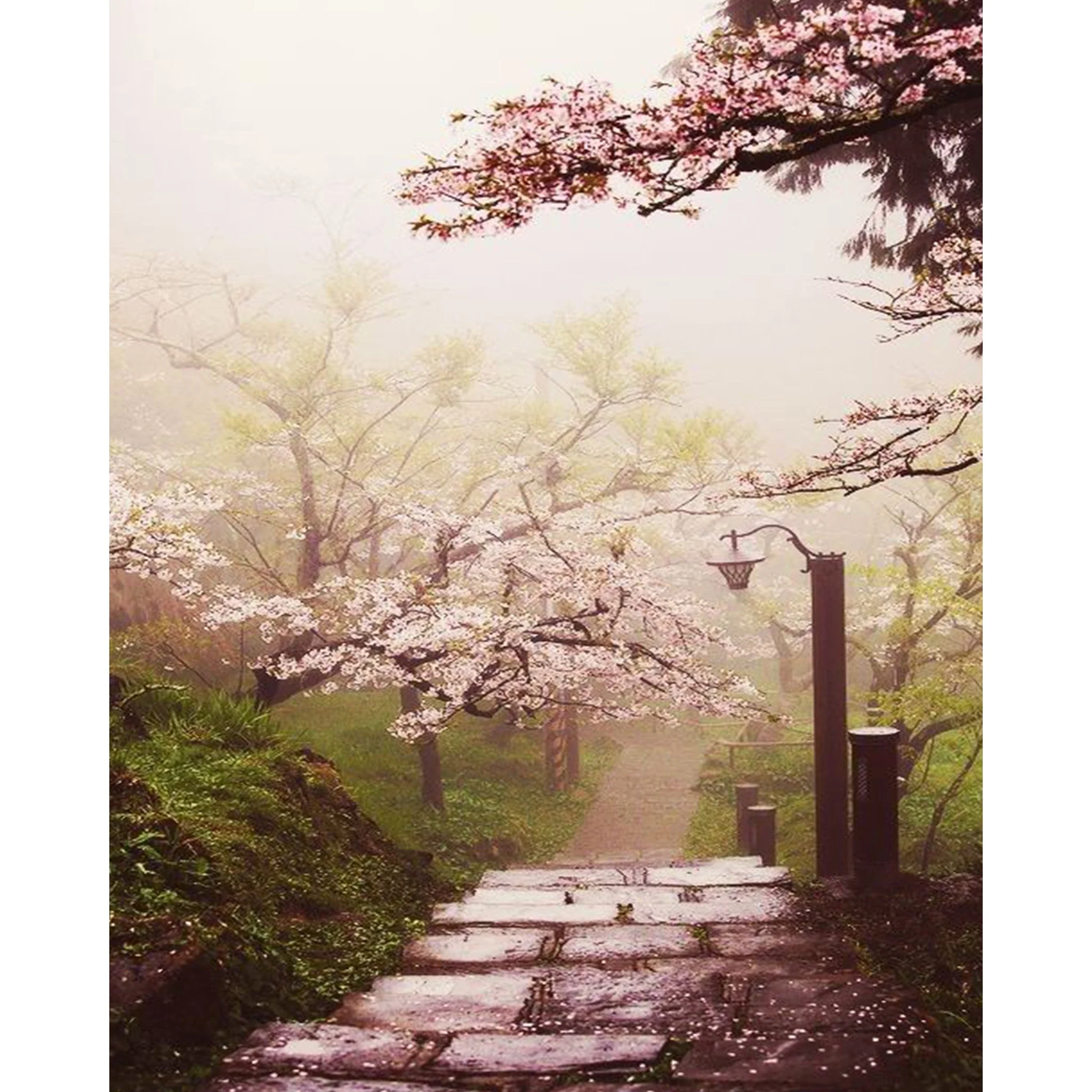 Japanese Cherry Blossom Garden | Diamond Painting - Image 2