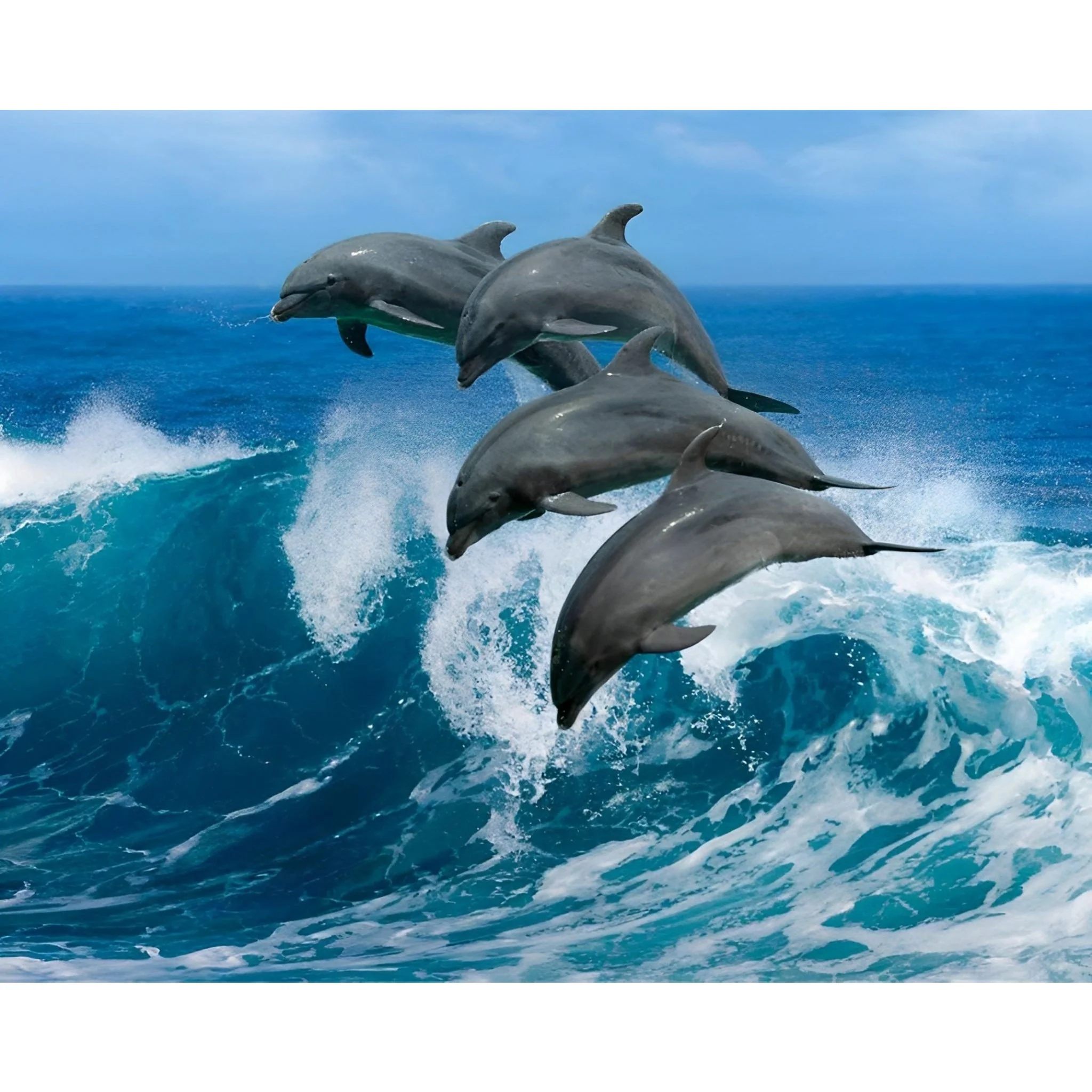 Dolphins Leaps | Diamond Painting - Image 2