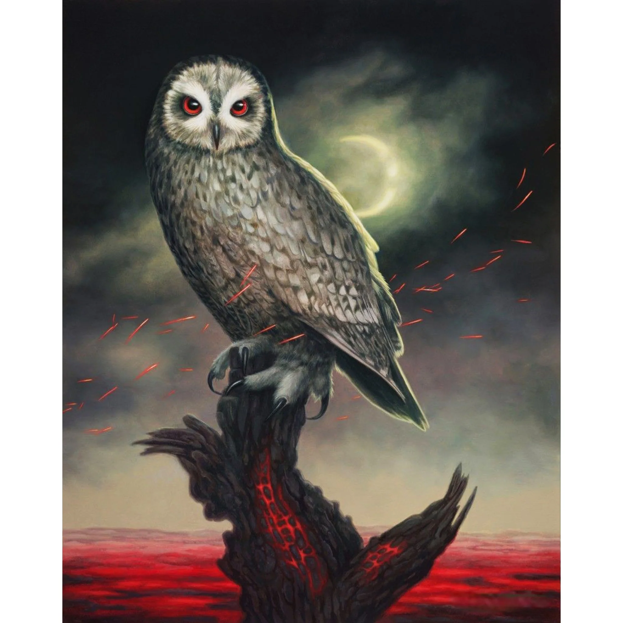 Enchanted Owl | Diamond Painting - Image 2