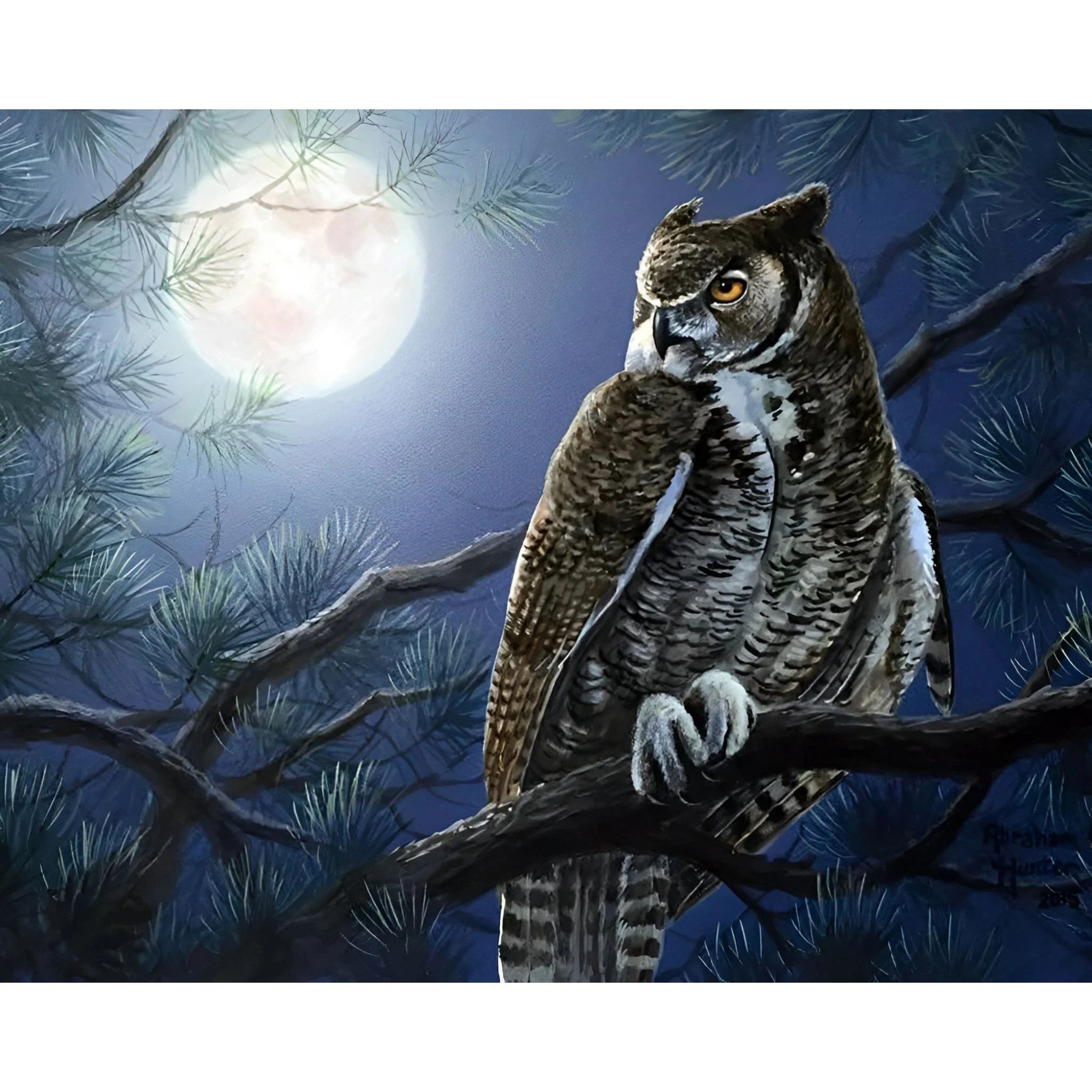 Night Owl | Diamond Painting - Image 2