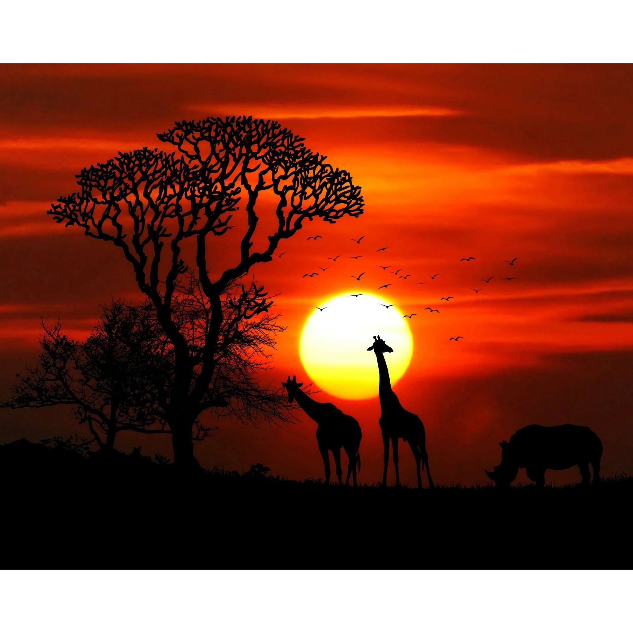 Sunset on the Plane | Diamond Painting - Image 2