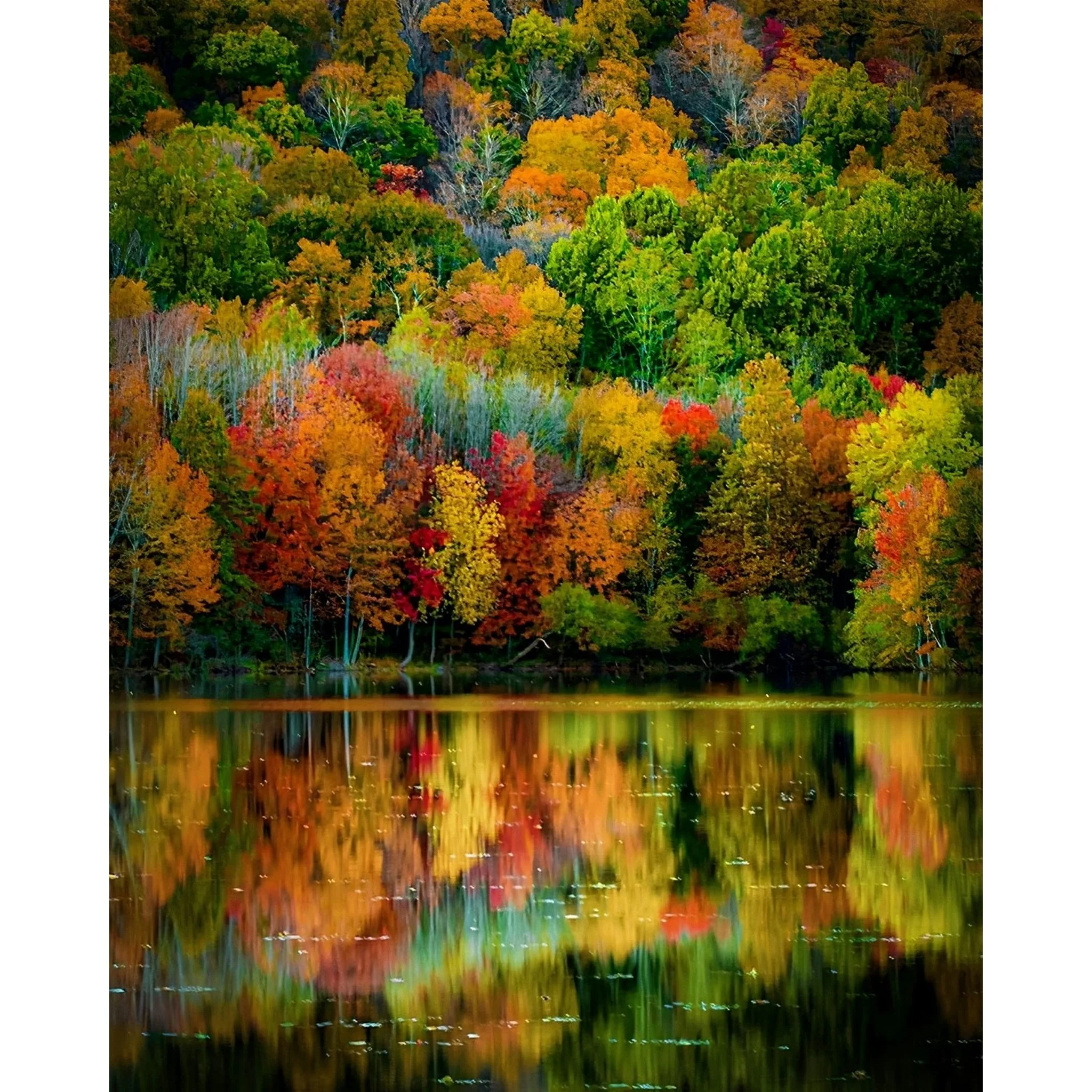 Seasons Tree | Diamond Painting - Image 2