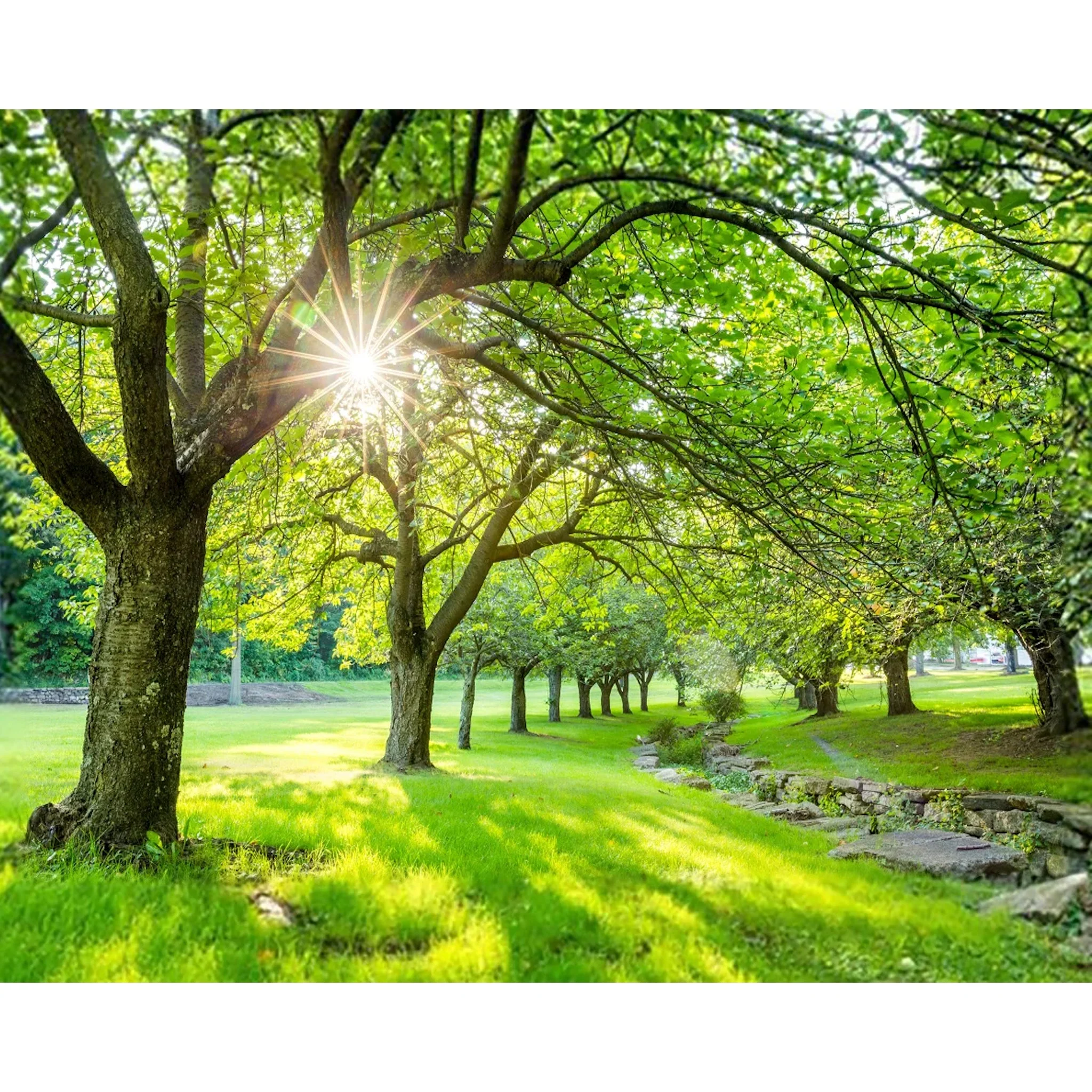 Spring Time | Diamond Painting - Image 2