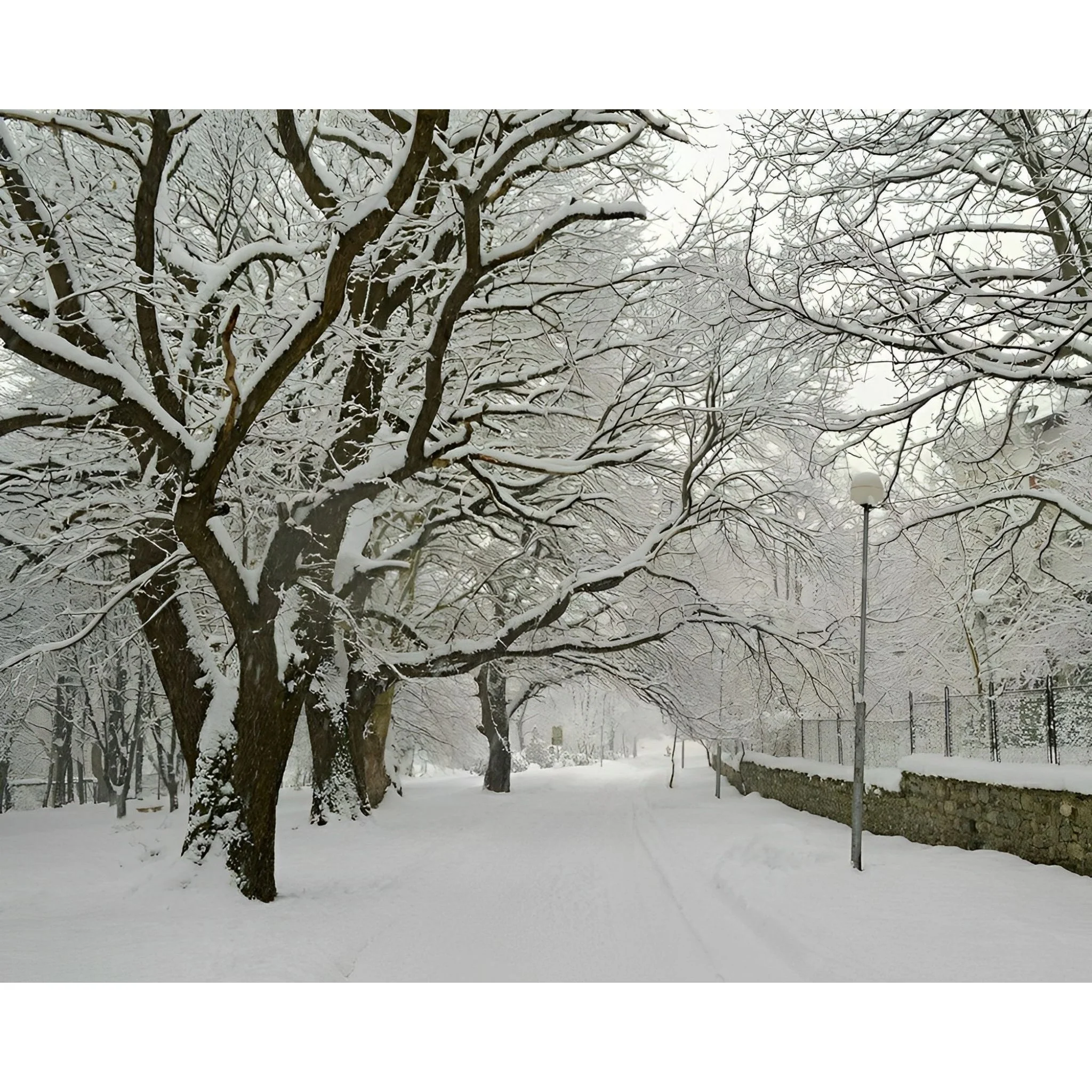 Winter Serenity | Diamond Painting - Image 2
