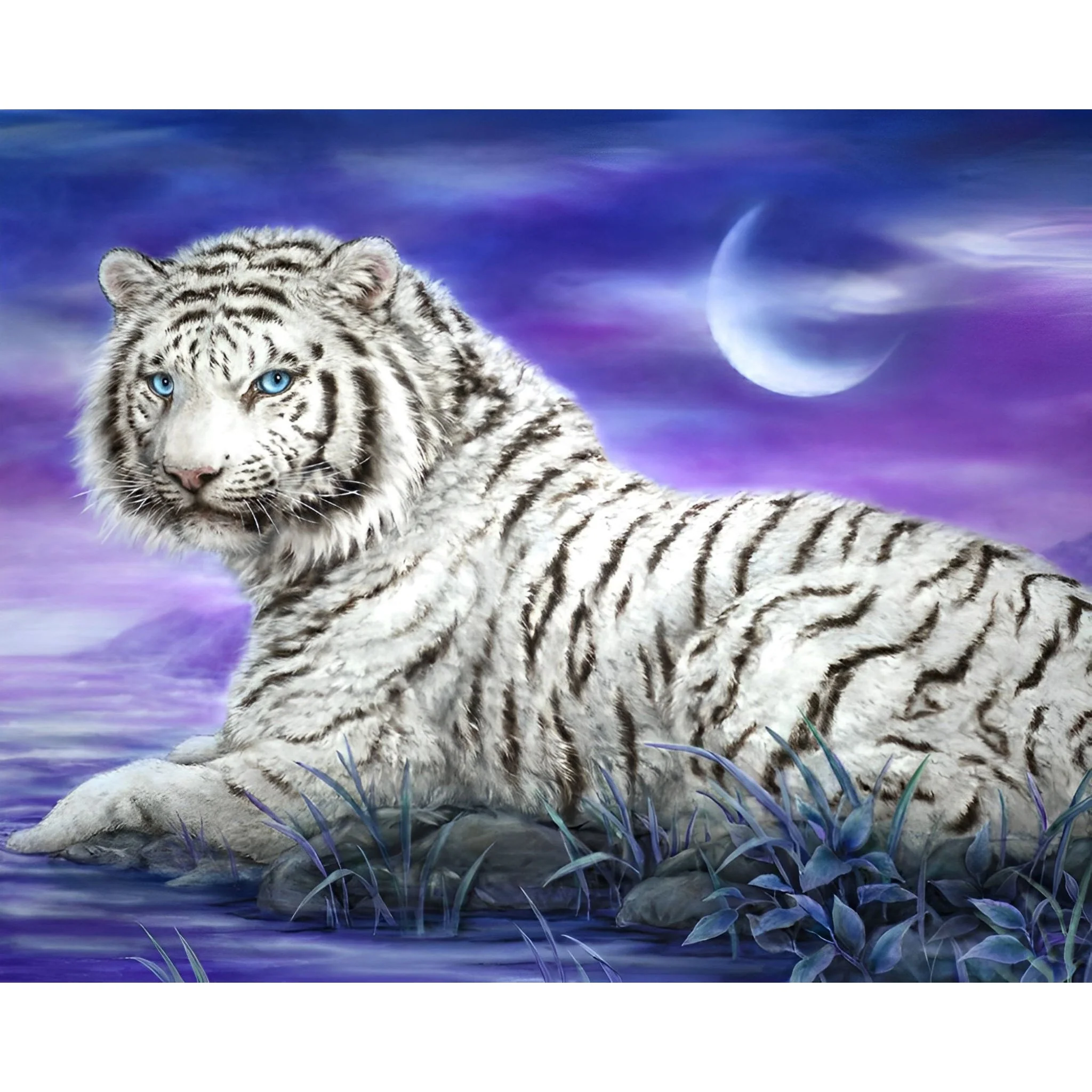 White Tiger | Diamond Painting - Image 2