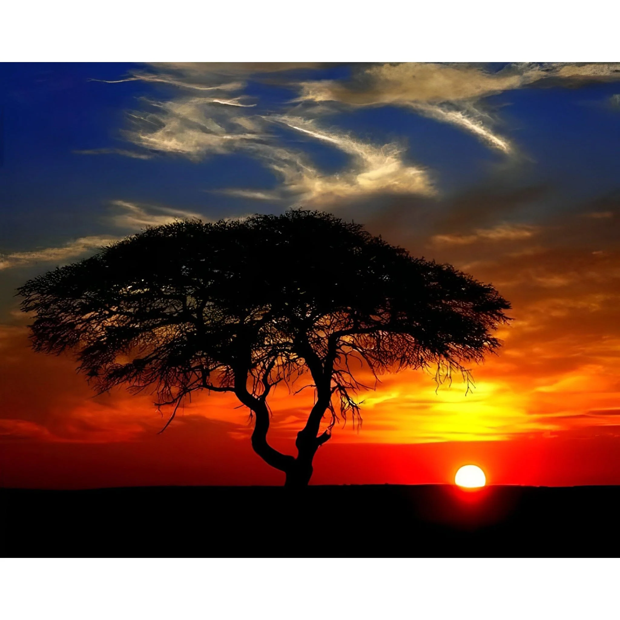 African Landscape Sunset | Diamond Painting - Image 2