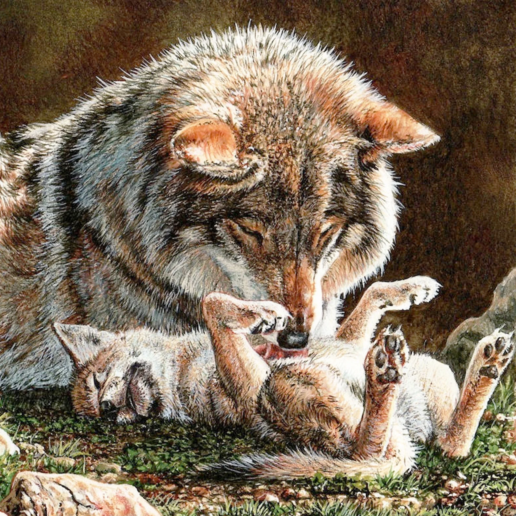 Mother wolf and cub | Diamond Painting - Image 2