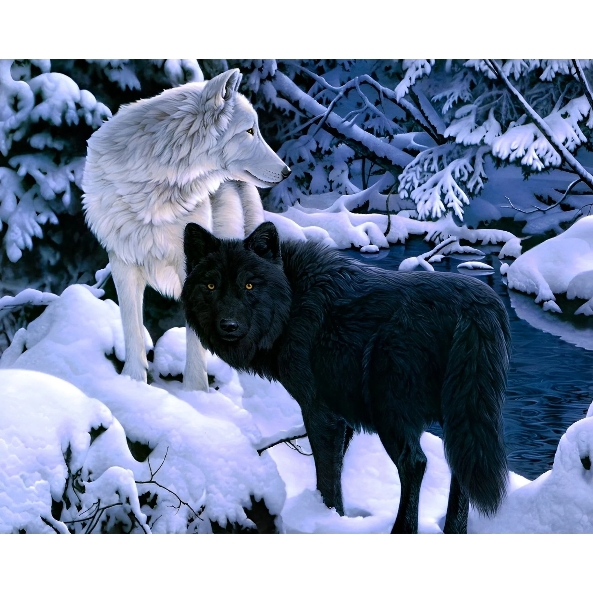 Black and White Wolves | Diamond Painting - Image 2