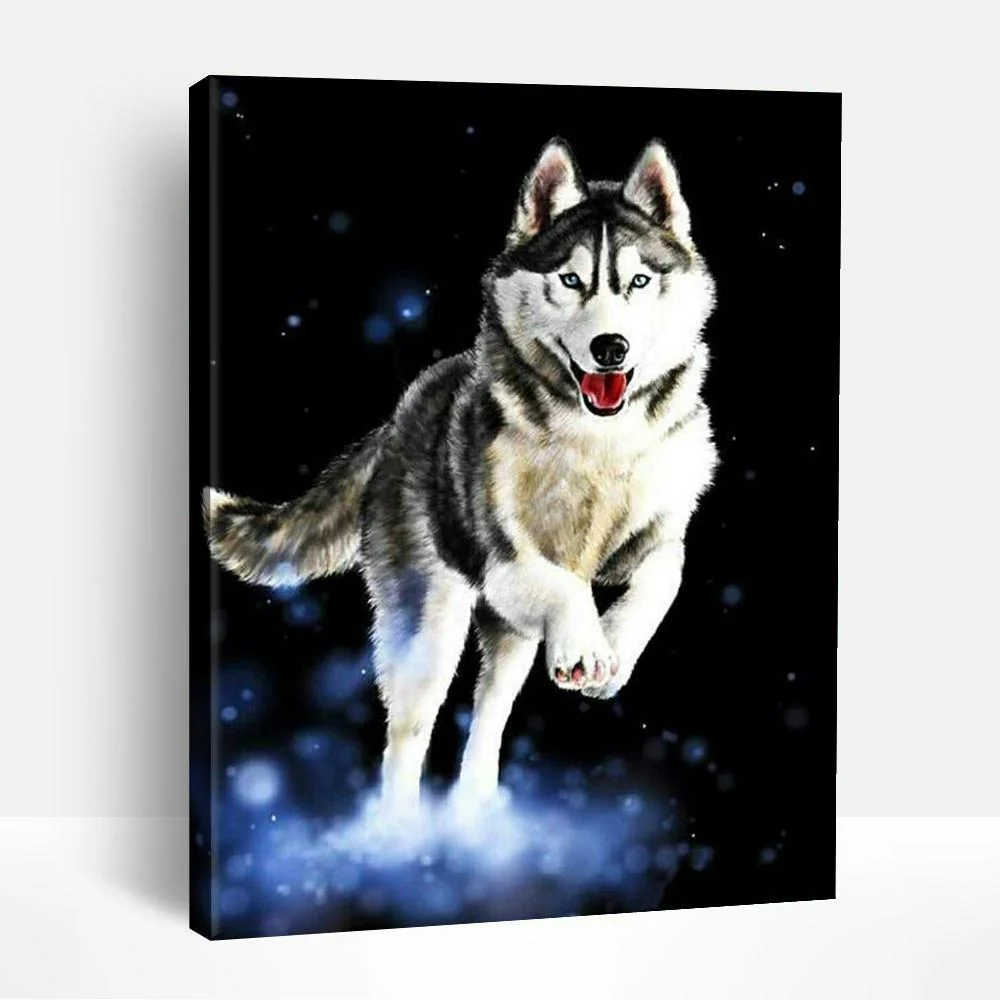 Husky Jumping | Paint By Numbers